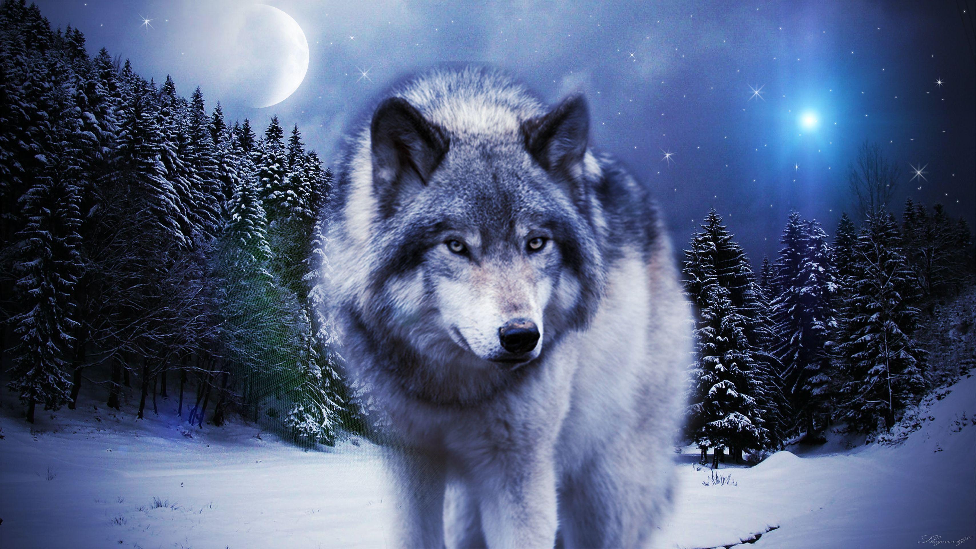 Wolf Picture