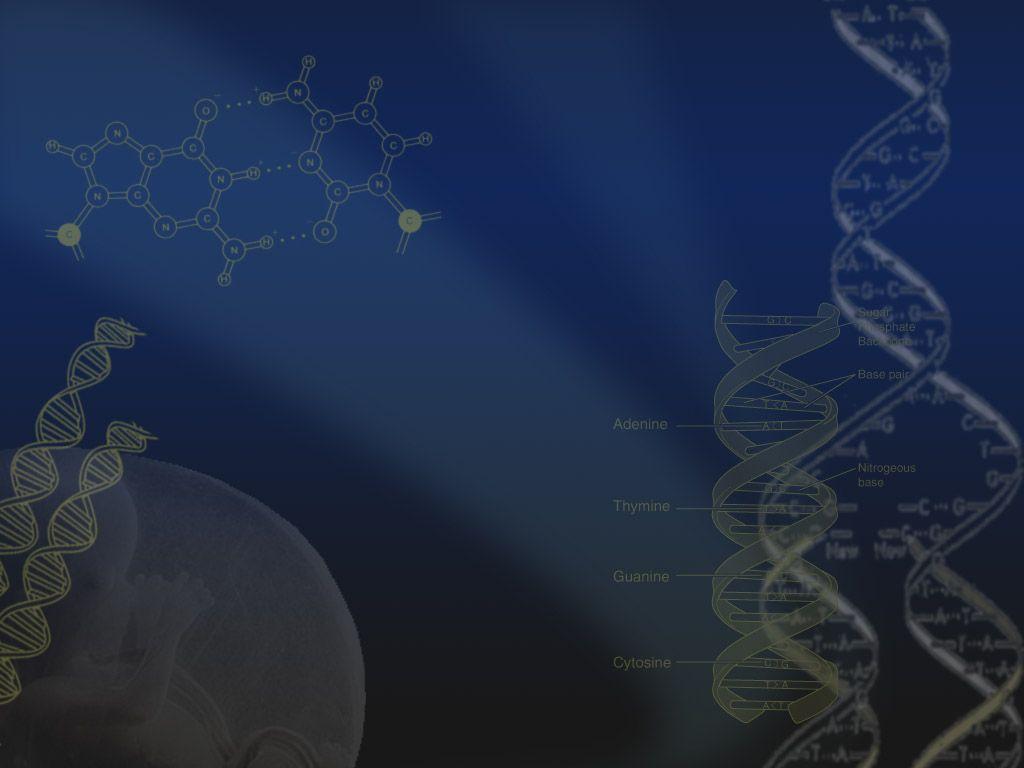 DNA Powerpoint PPT Background 1024x768 resolutions, DNA Powerpoint