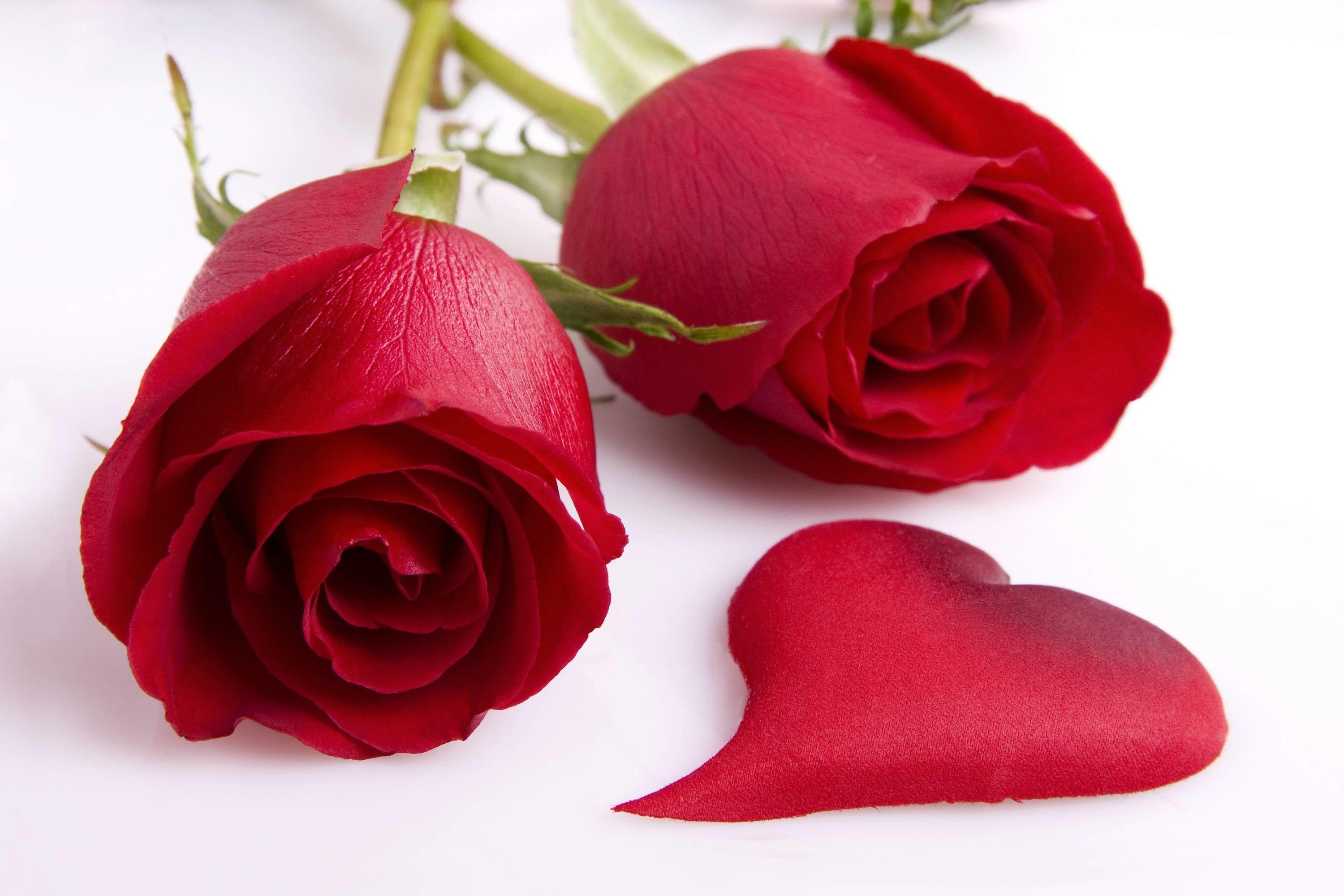 Red Roses Heart Wallpapers - Wallpaper Cave