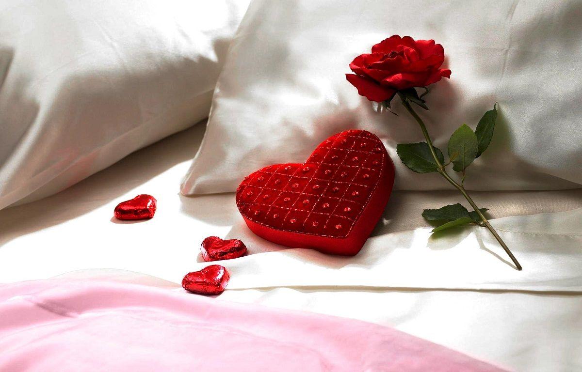 Red Roses On White Pillow Hd Free Wallpaper