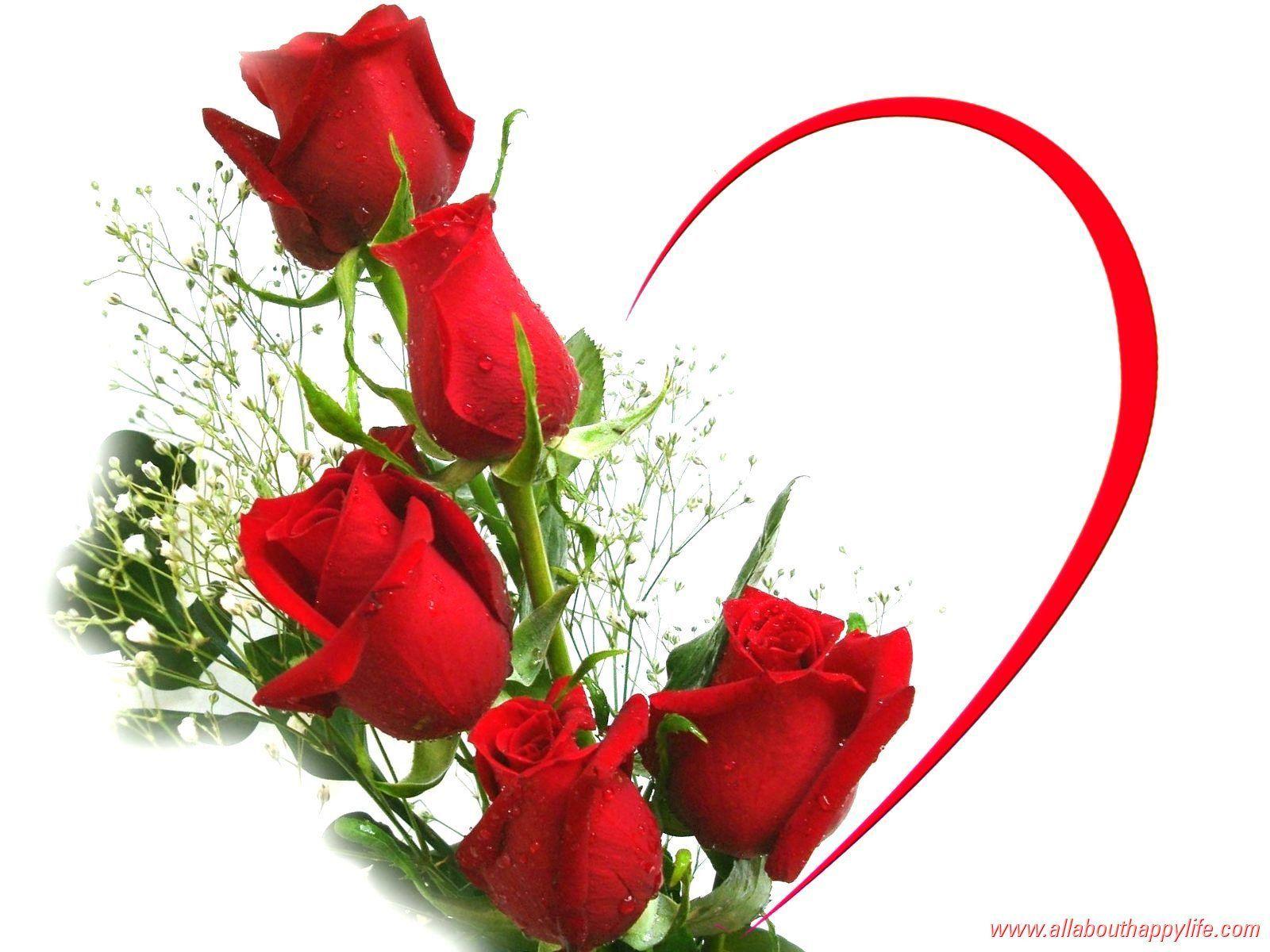 Red Rose Heart Wallpaper Love Rose Image Wallpaper HD