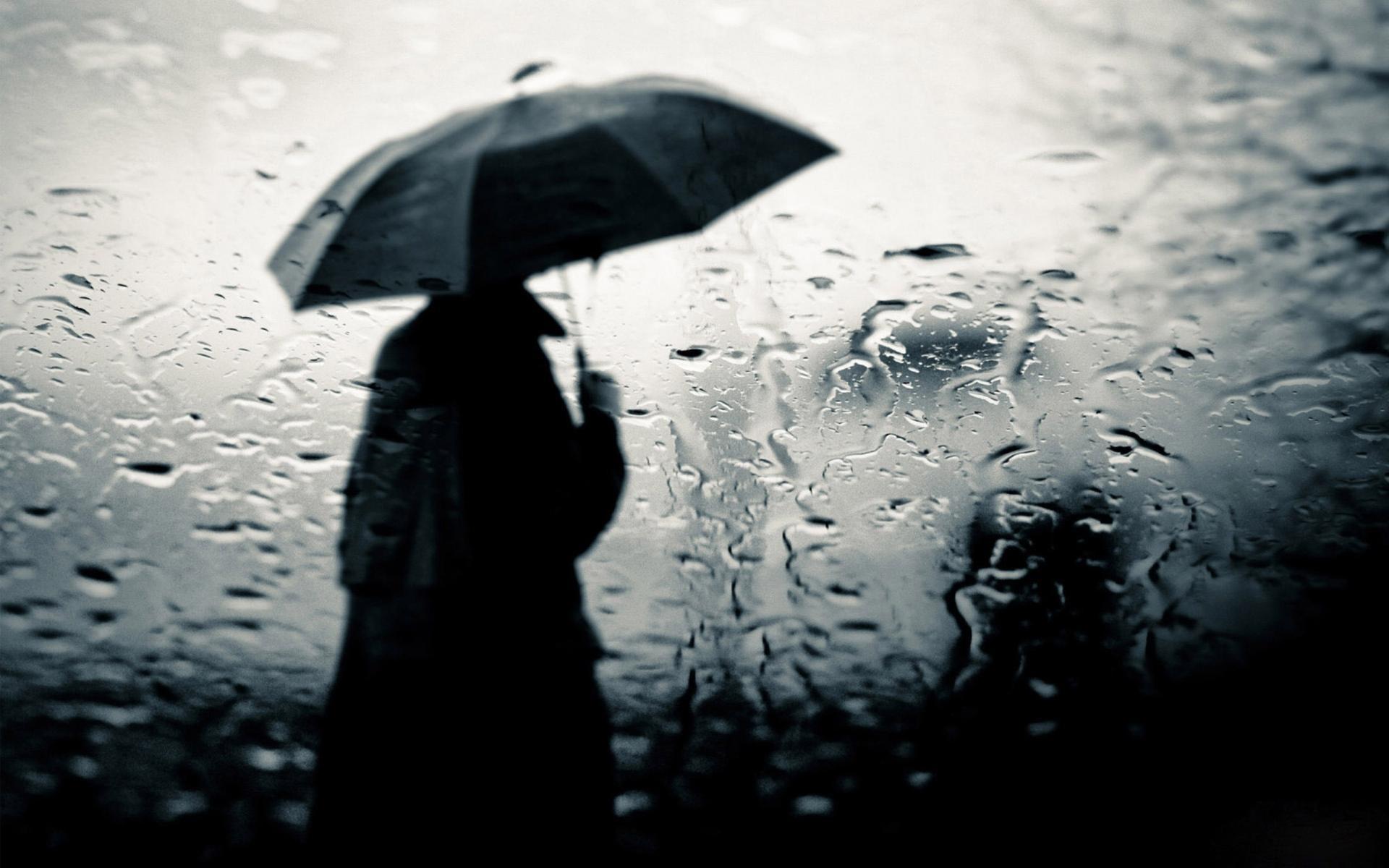 Alone Boy In Rain HD Wallpaper, Picture