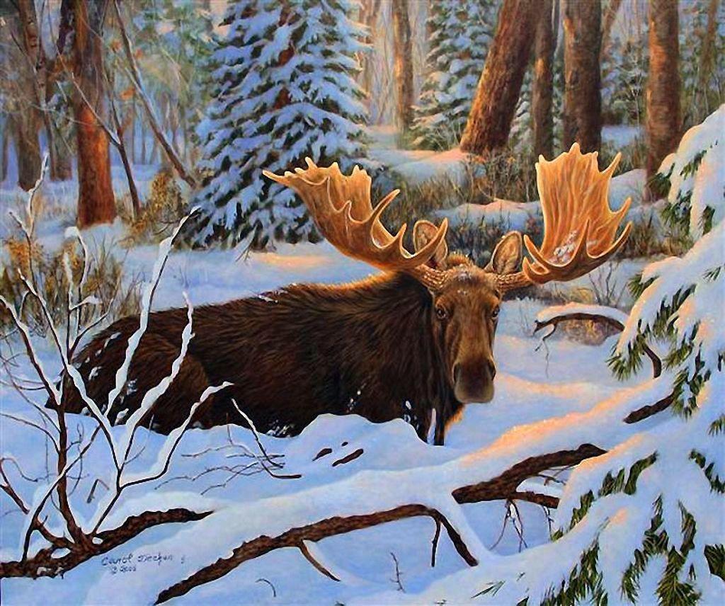 Snow Forest Winter Painting Artwork Trees Moose Deer Grass Photo