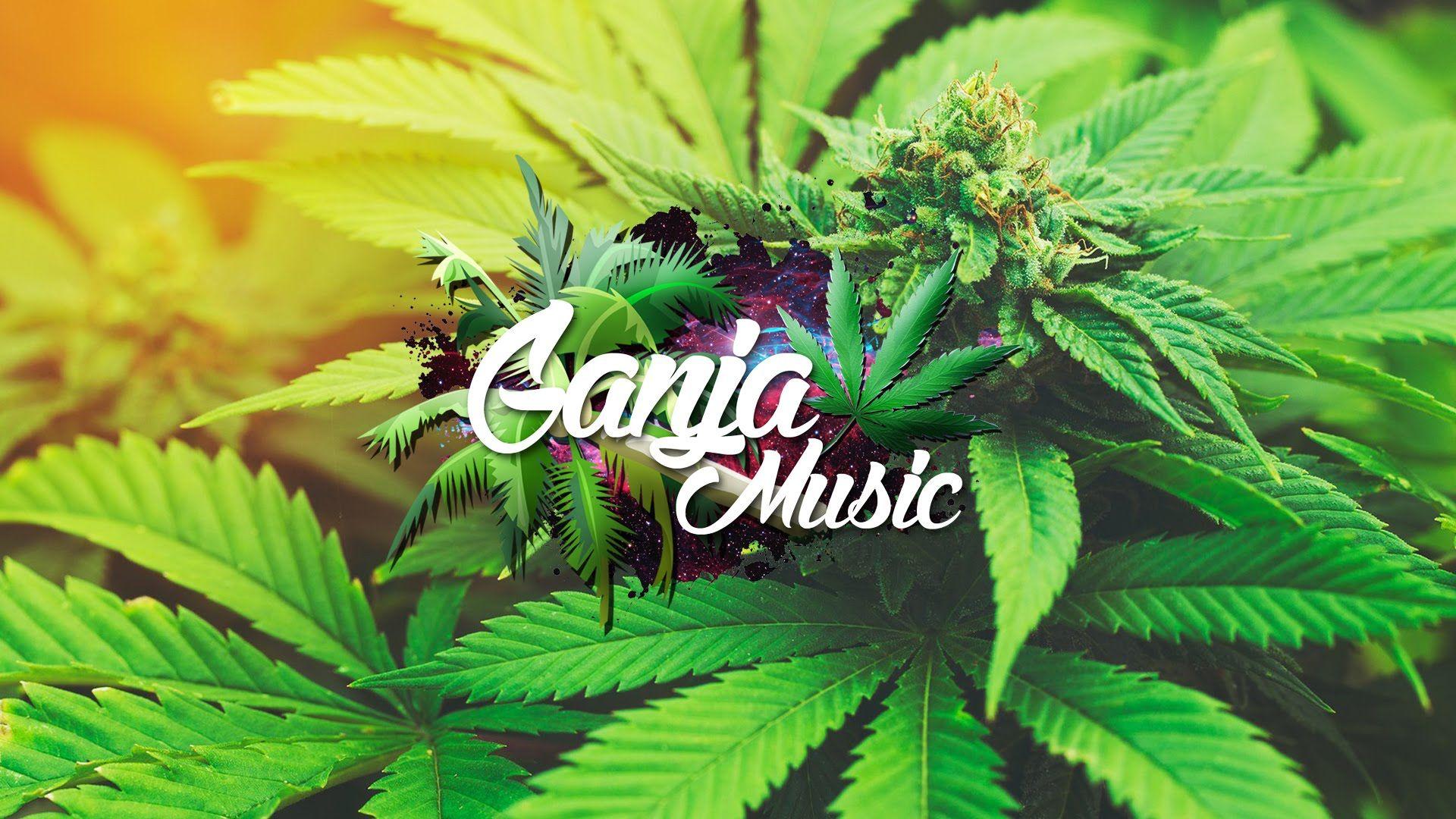 Wallpapers De De La Ghetto - Wallpaper Cave