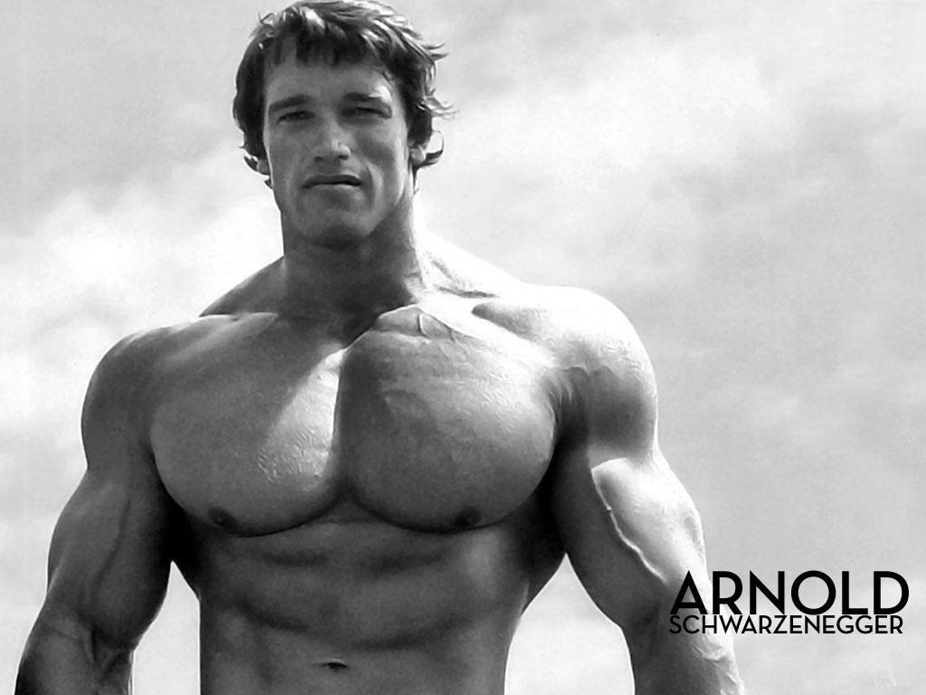 Arnold Schwarzenegger Wallpaper Download FREE