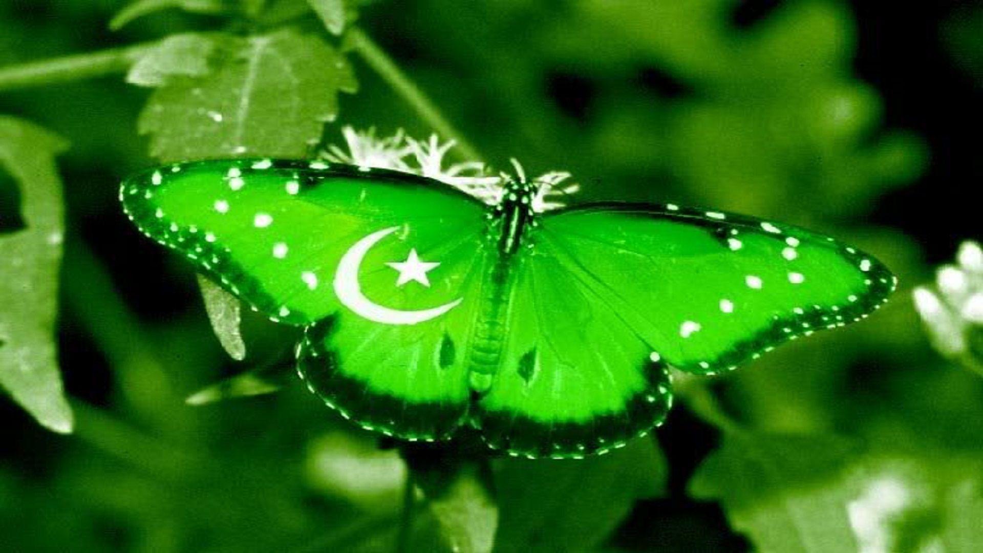 Pakistani Flag Wallpaper For Mobile Phones, Picture