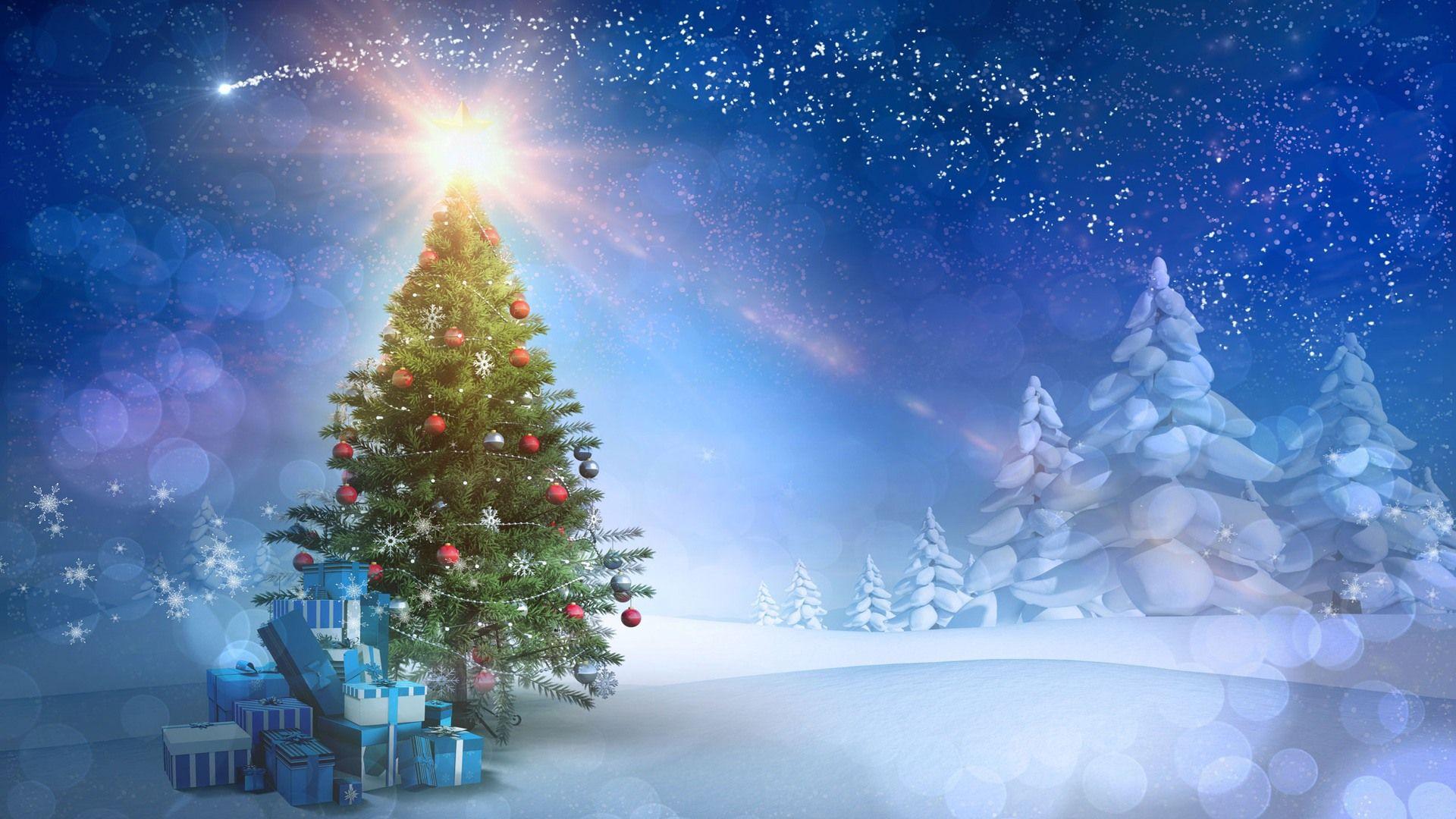 Christmas tree HD wallpaper download