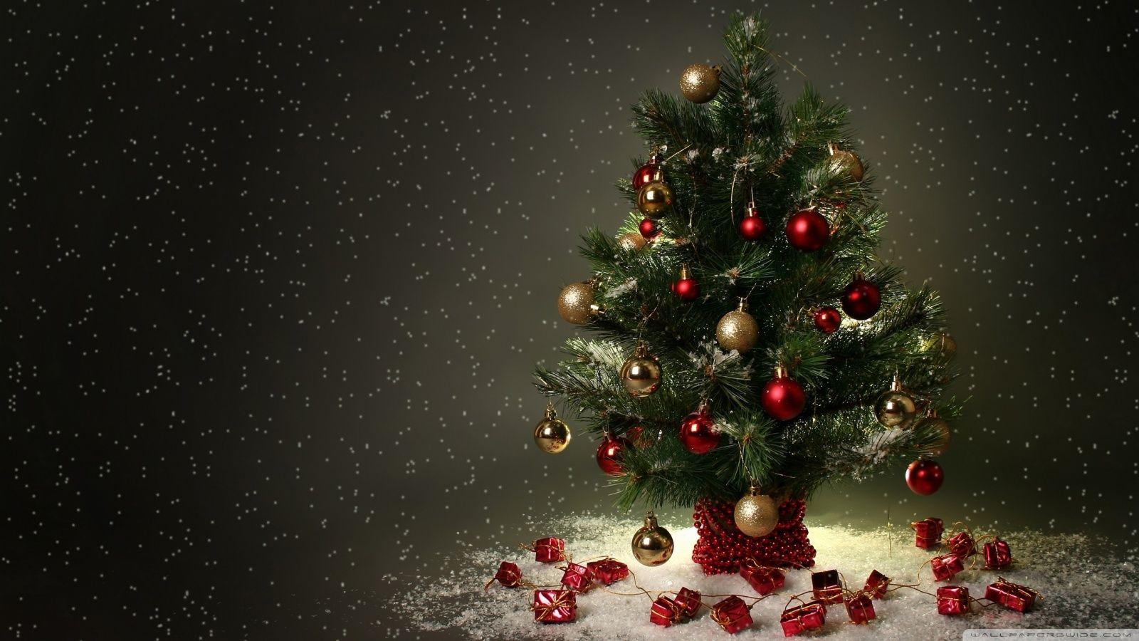 Small Christmas Tree ❤ 4K HD Desktop Wallpaper for 4K Ultra HD TV