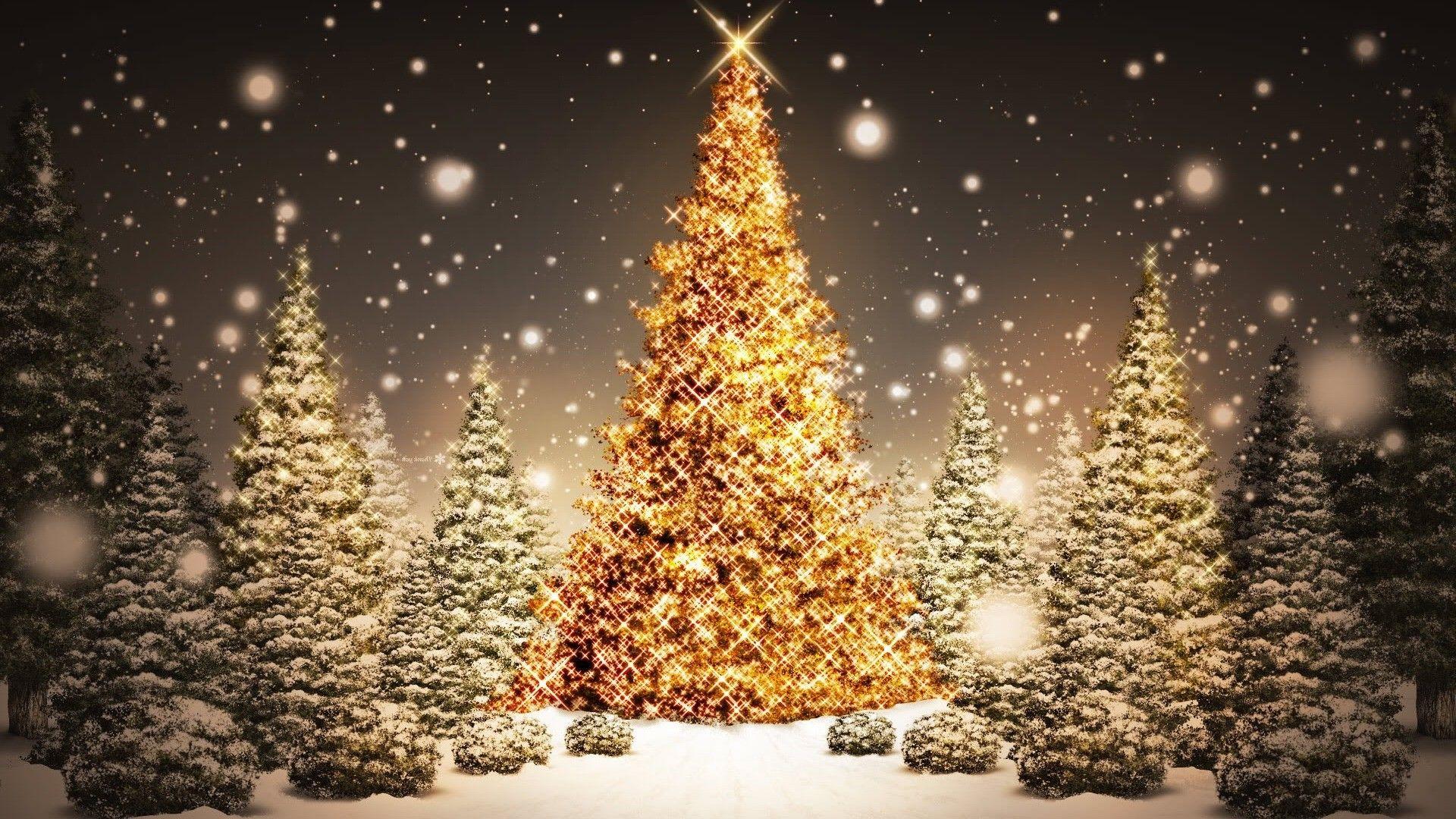 Christmas Tree HD Wallpapers - Wallpaper Cave