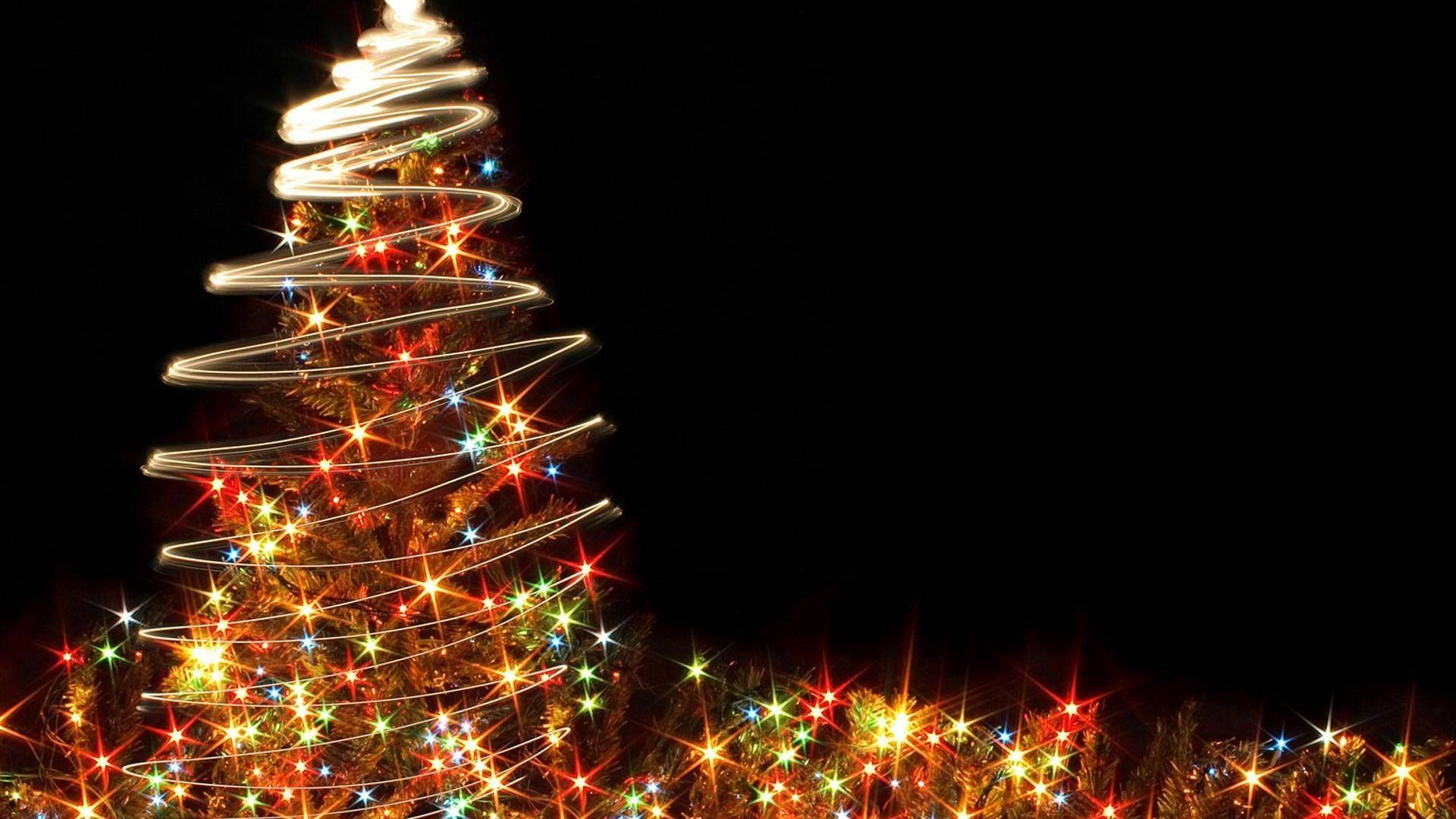 Christmas Trees HD Background