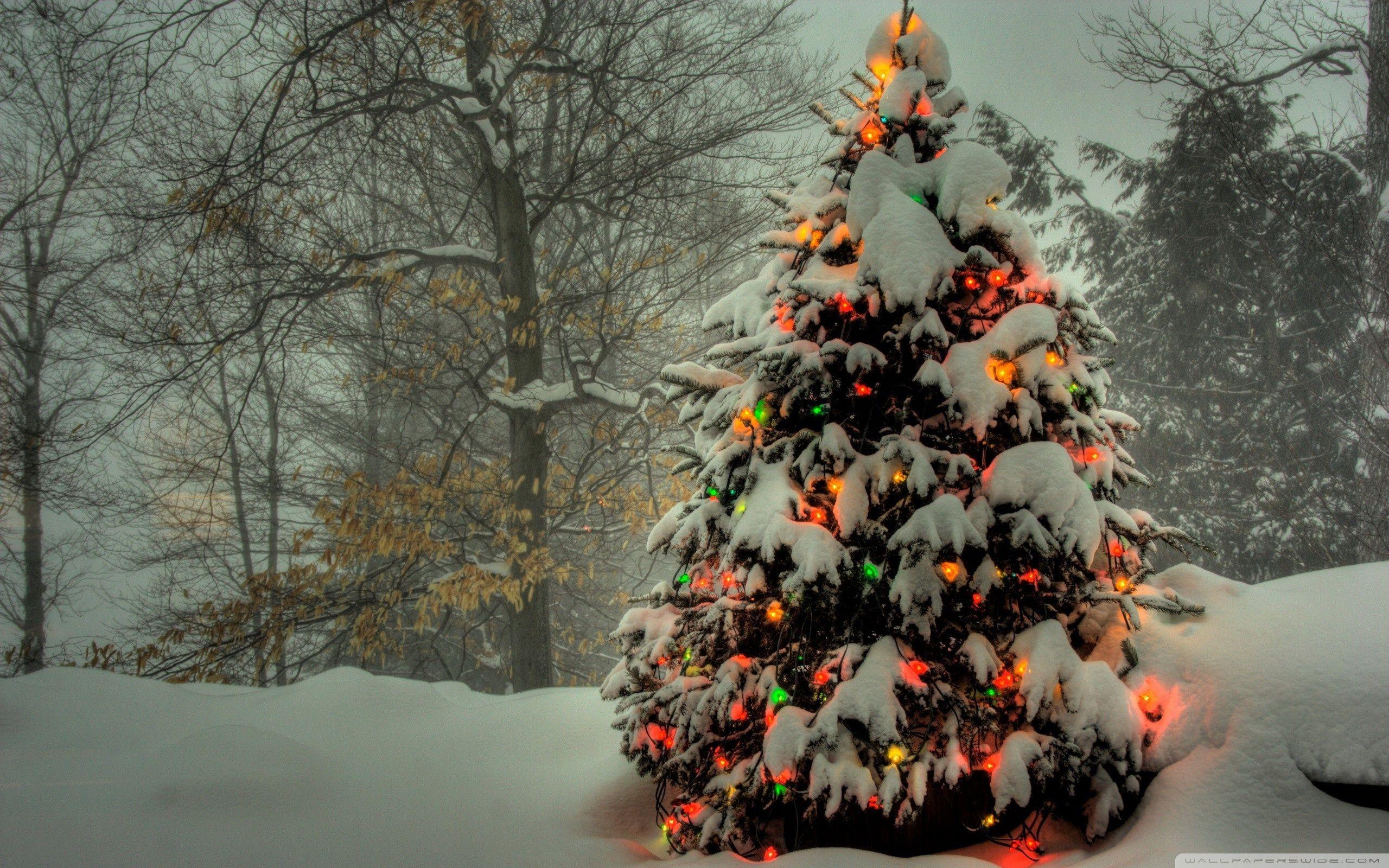 Download Christmas Tree HD Wallpaper