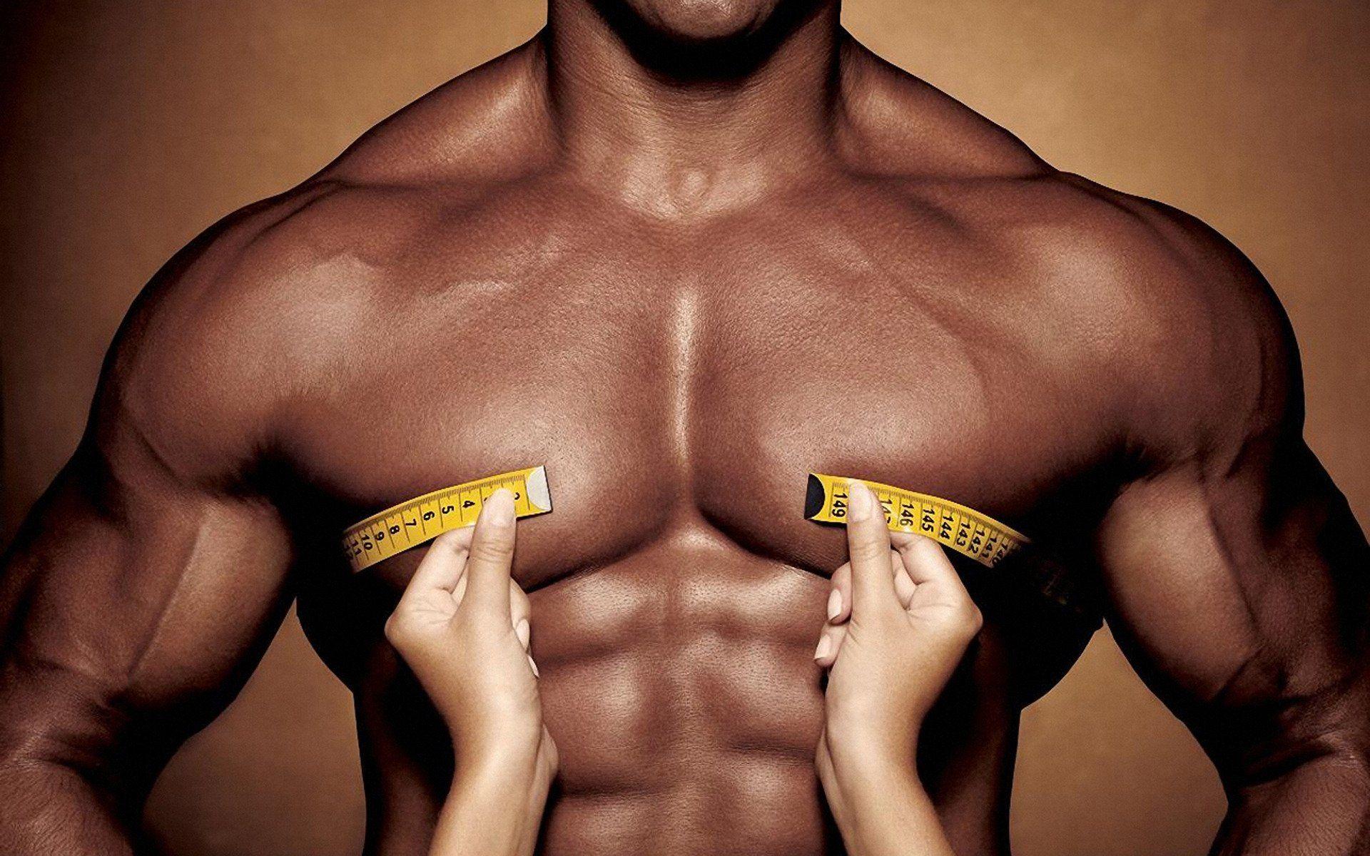 the body muscles belt hands torso press HD wallpaper