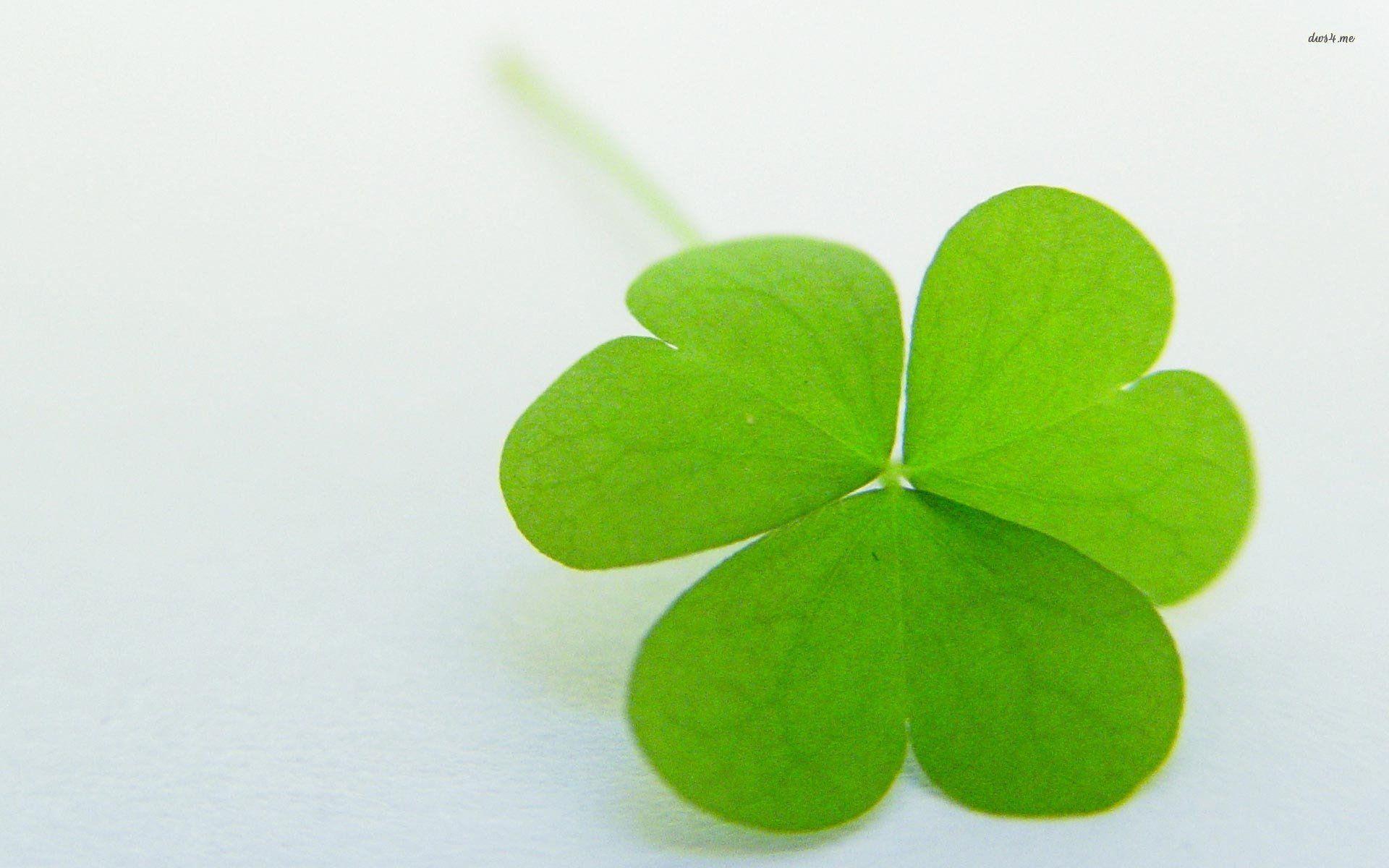 Clover Leaf Wallpapers - Wallpaper Cave