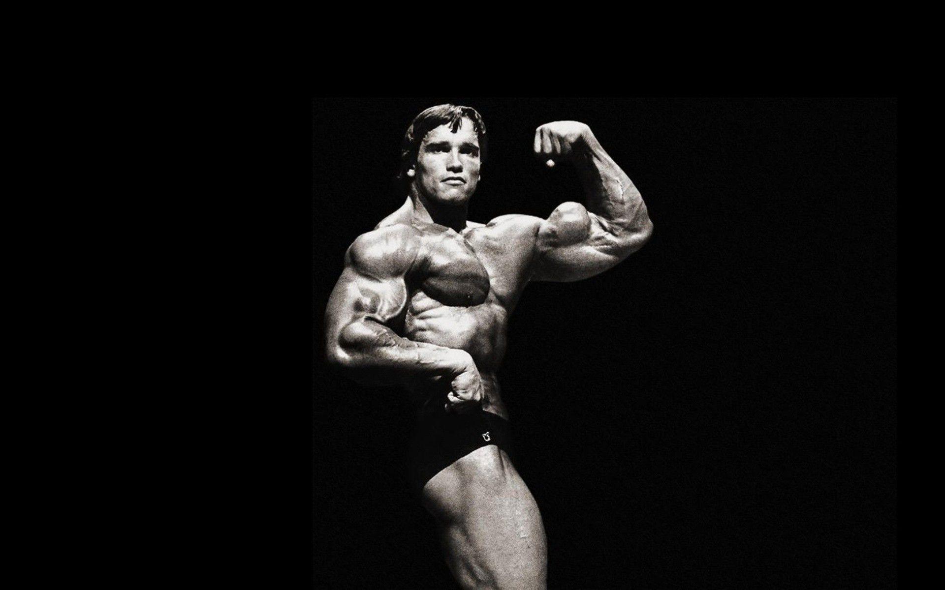 Arnold Schwarzenegger Wallpaper 5 X 1200