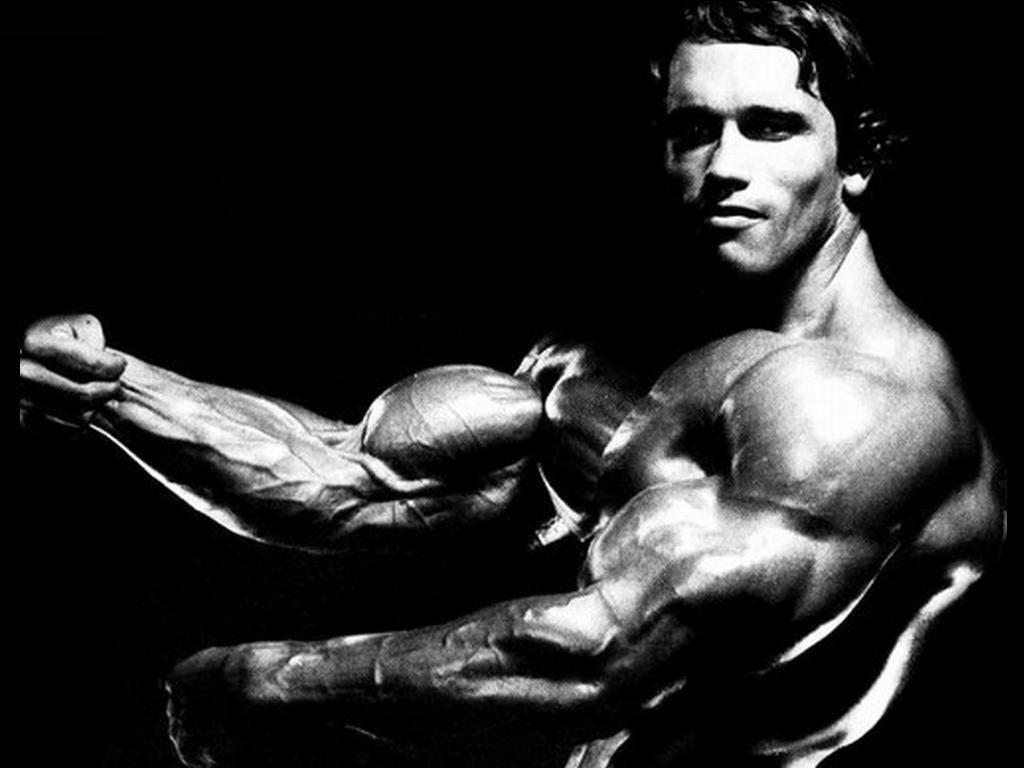 Bodybuilding Wallpaper: Arnold Schwarzenegger Wallpaper