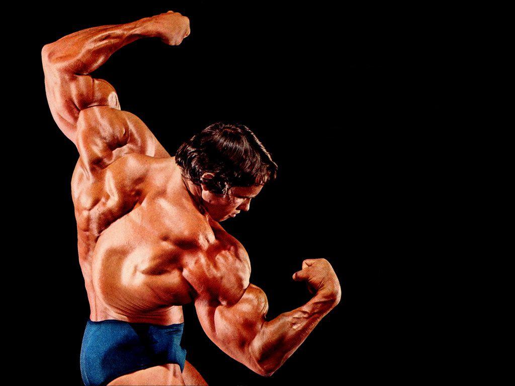The Wallpaper: Arnold Schwarzenegger