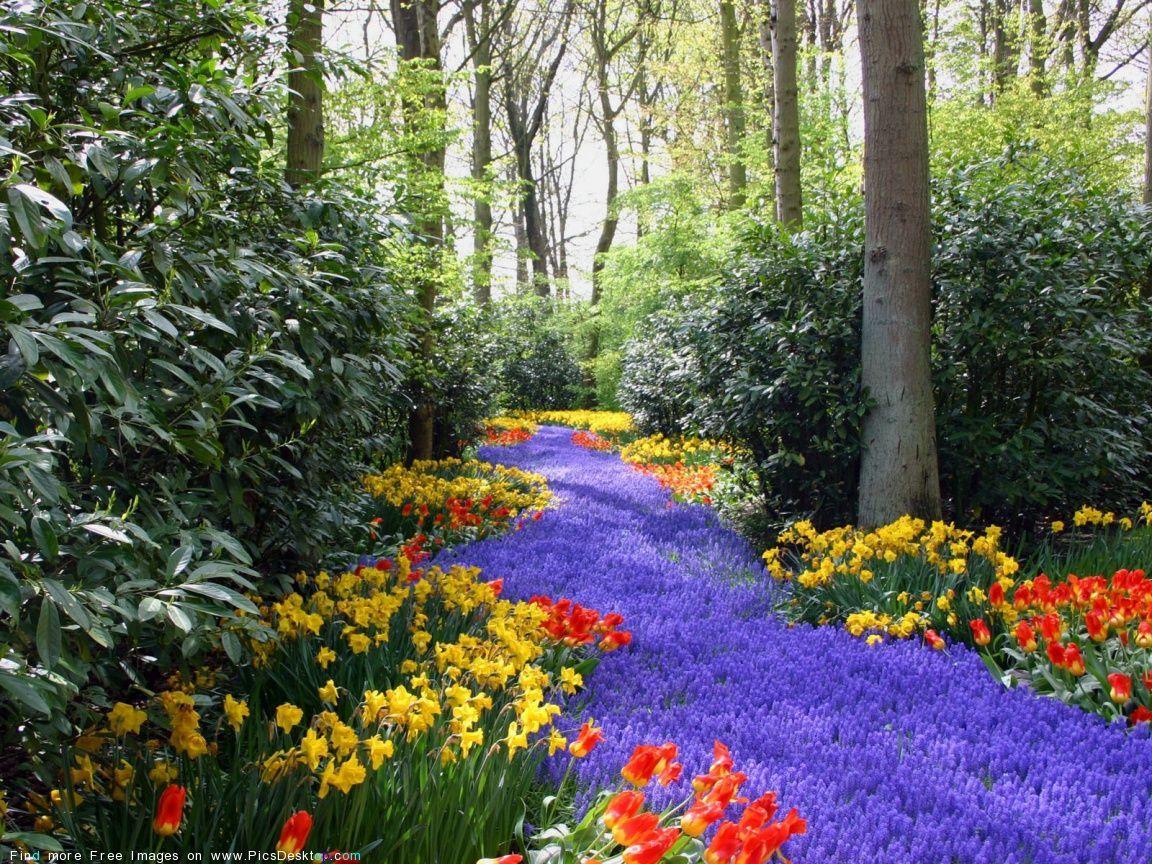 Bing Free Spring Wallpaper. Nature Springtime Free Desktop