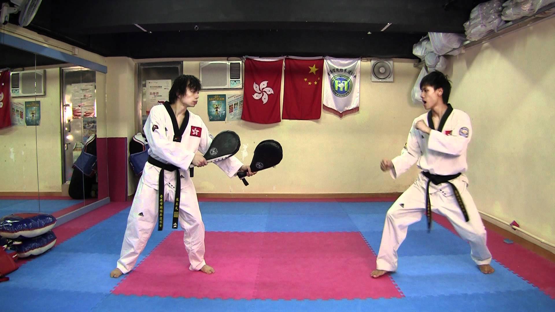 Taekwondo】Combo Kicks, Turning Kicks, Single Kicks