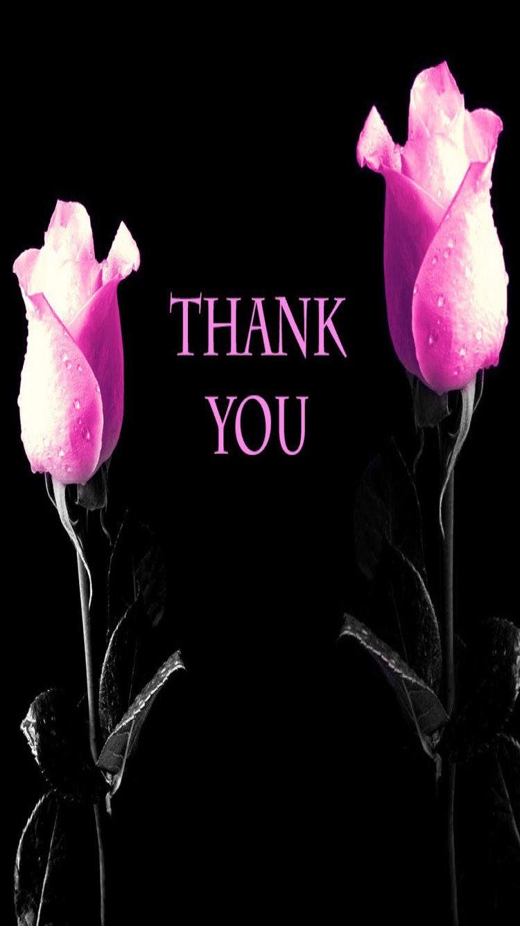 Thank you with pink flowers iphone 5s full hq wallpaper