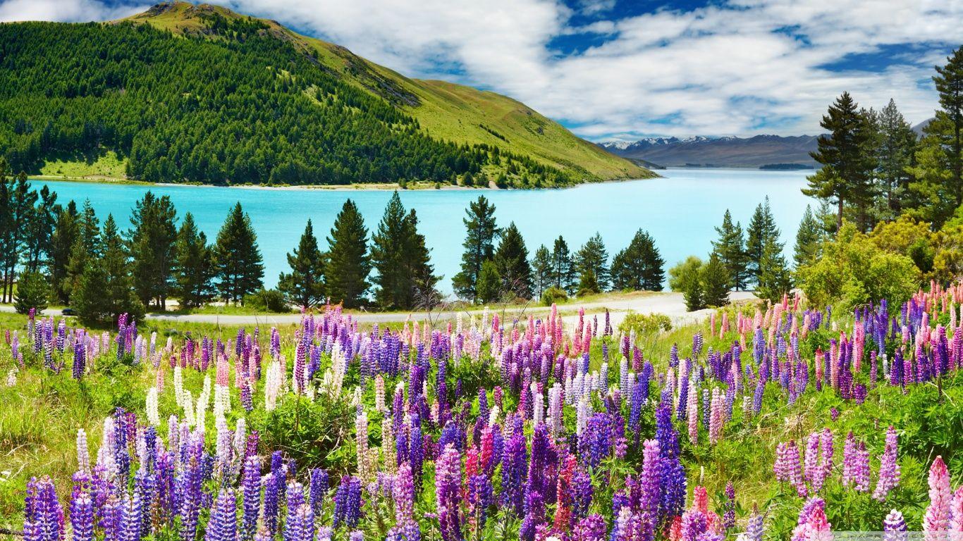 Lavender, Mountains ❤ 4K HD Desktop Wallpaper for 4K Ultra HD TV