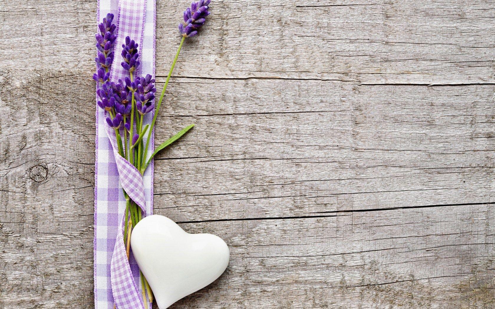 Lavender Flower Background