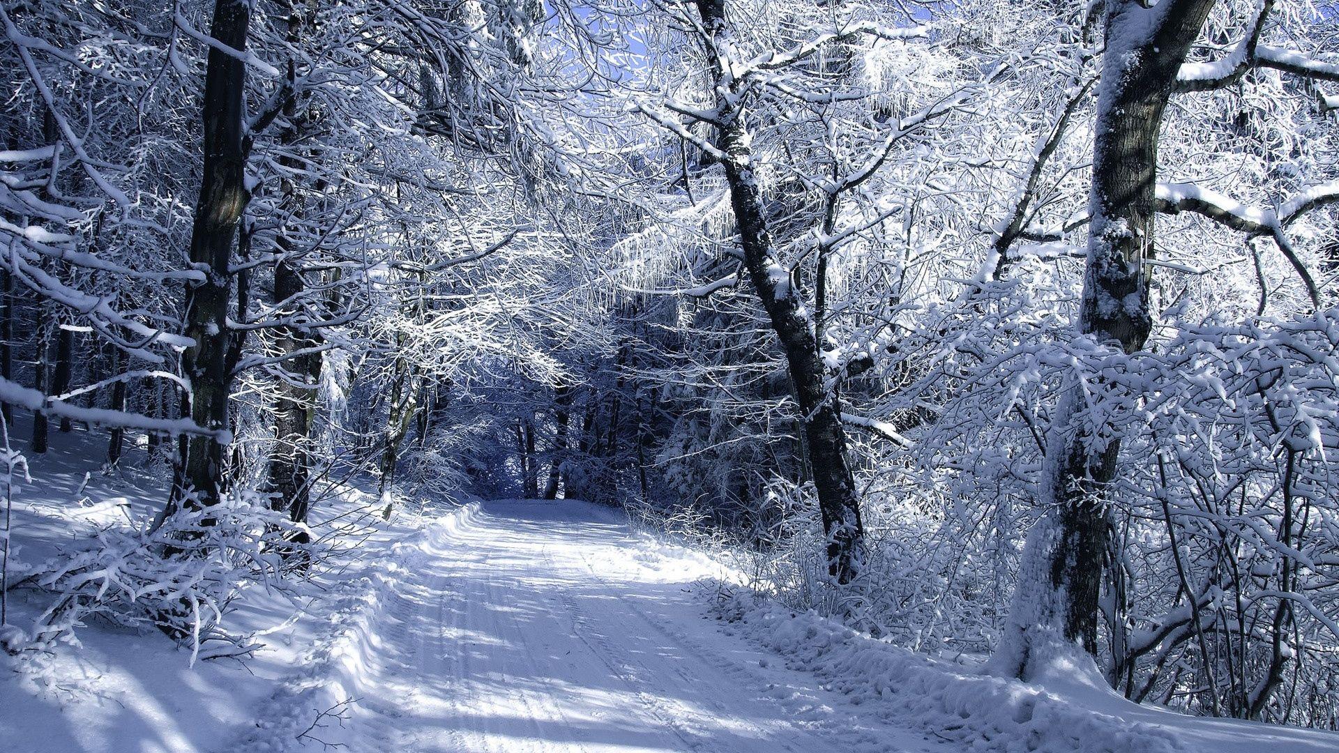 Full HD Wallpaper road snow frost forest winter, Desktop Background