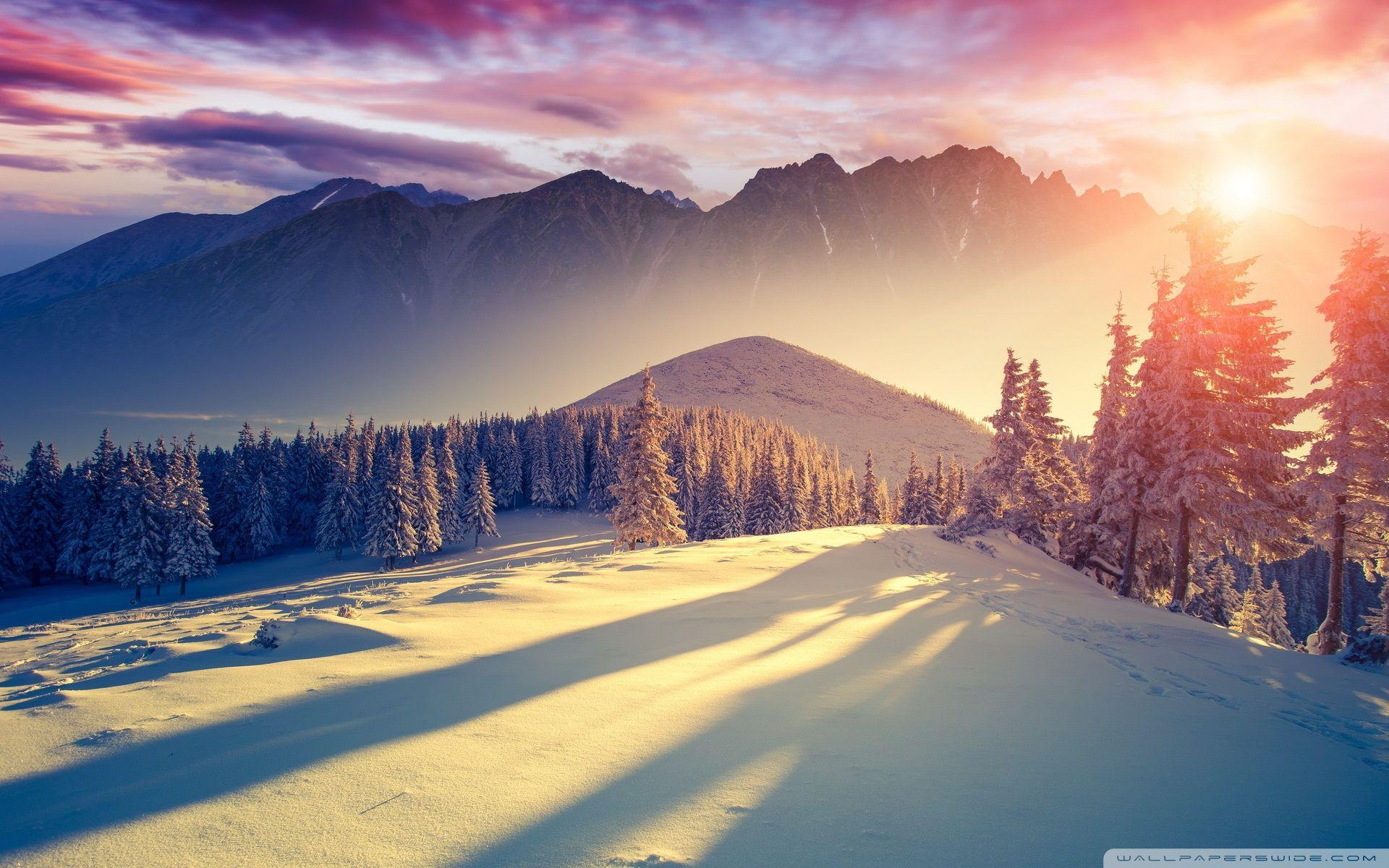 Sunset Winter Shadows ❤ 4K HD Desktop Wallpaper for 4K Ultra HD TV