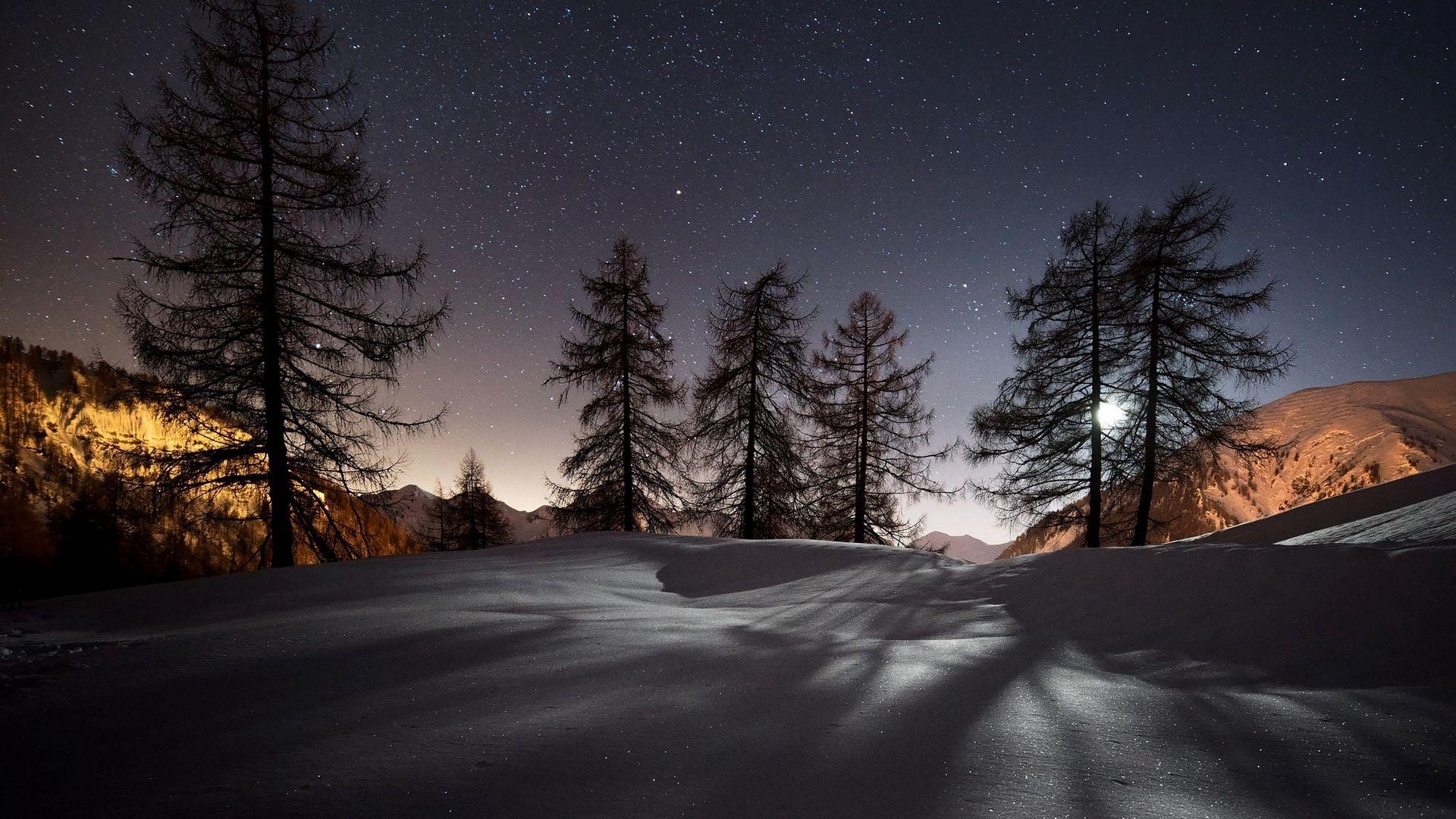 Download wallpaper 1920x1080 winter, trees, snow, night, landscape