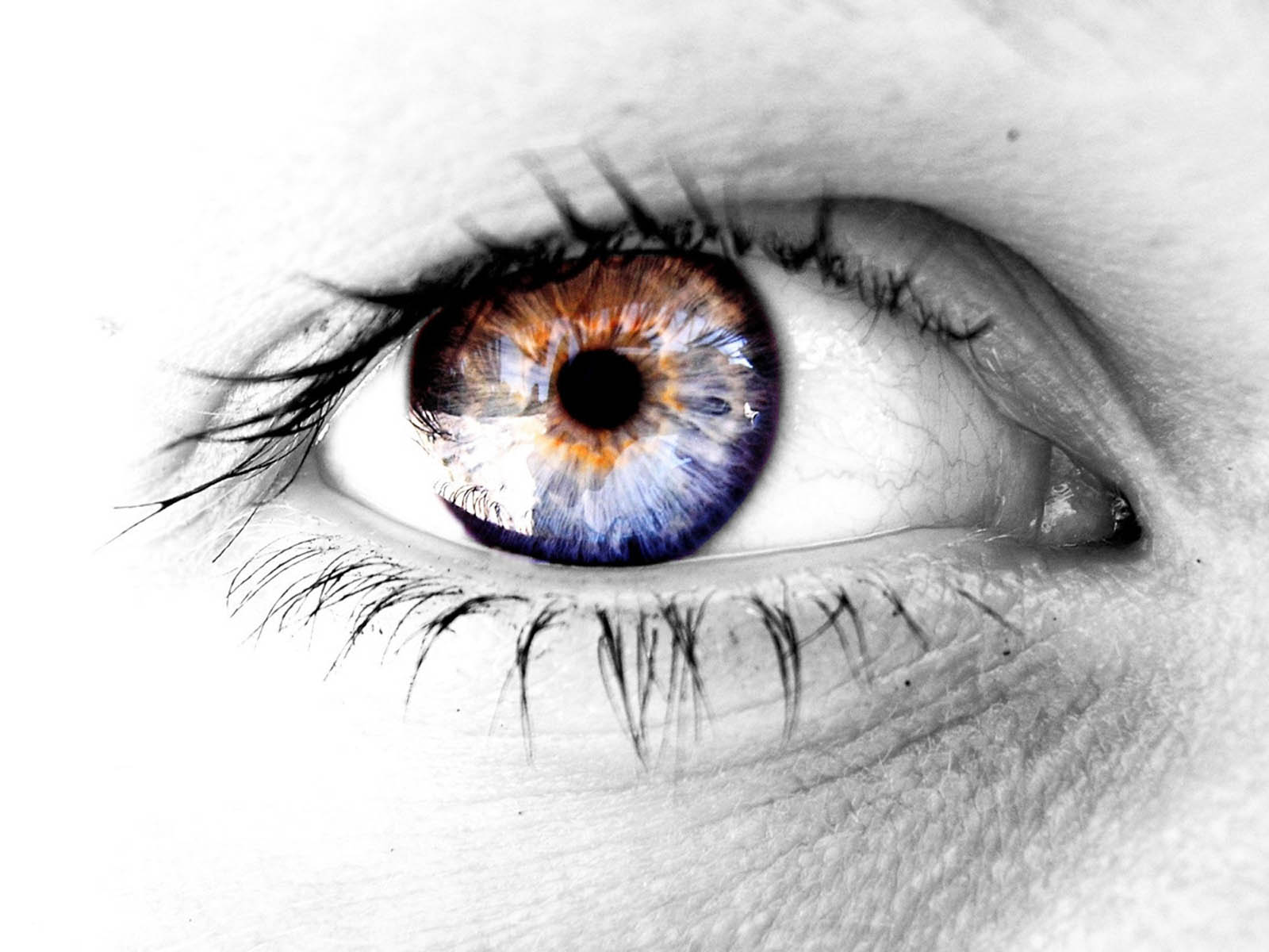 Eye Wallpaper 3D, Picture