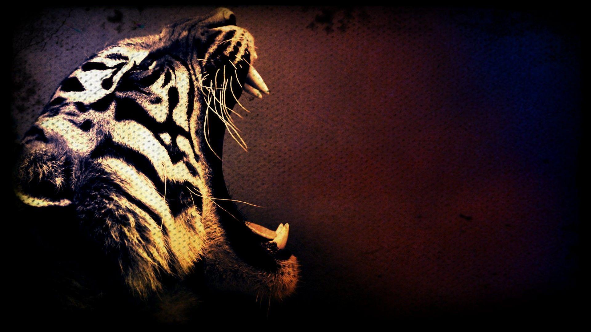 3D Tiger HD Wallpaper