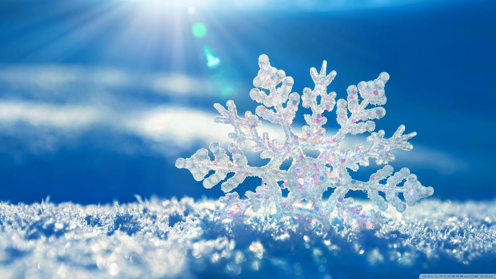 Snowflake Wallpaper Desktop Background