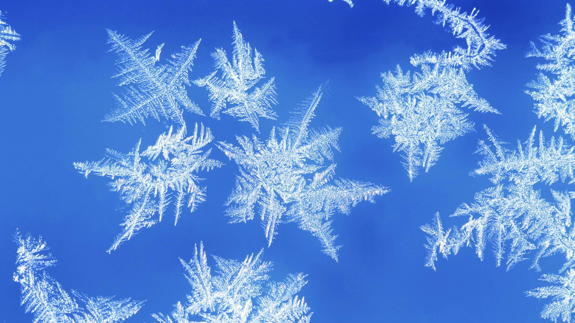 Snowflake Wallpaper HD Download Desktop