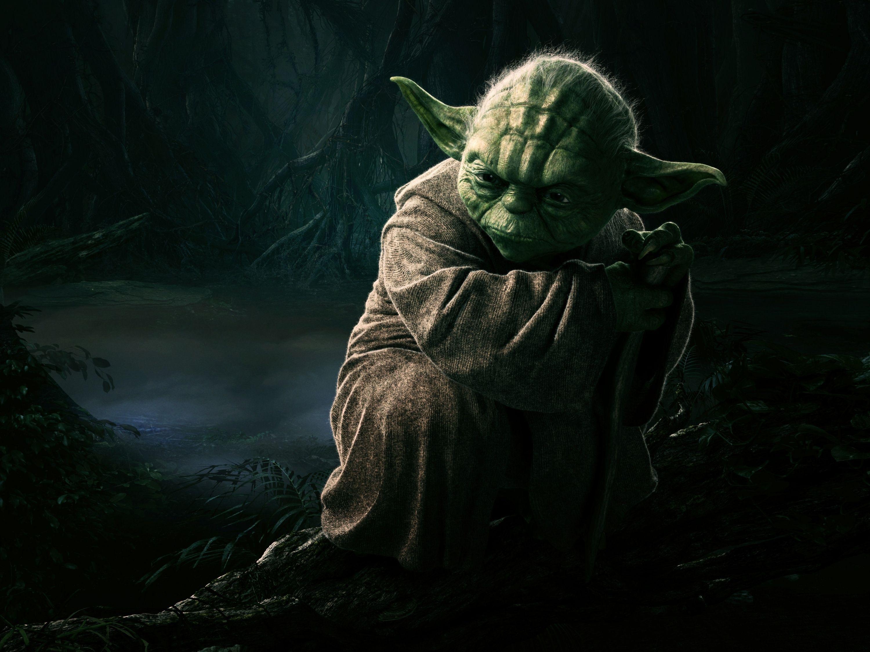 Yoda Iodine Master Jedi Jedi Green Ears Cloak Cheburan