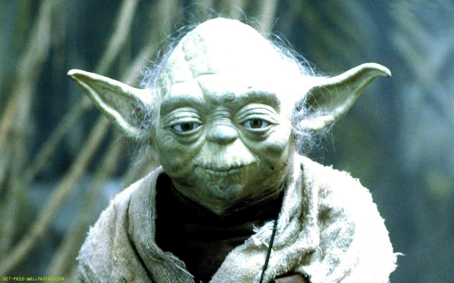 Yoda Wallpaper