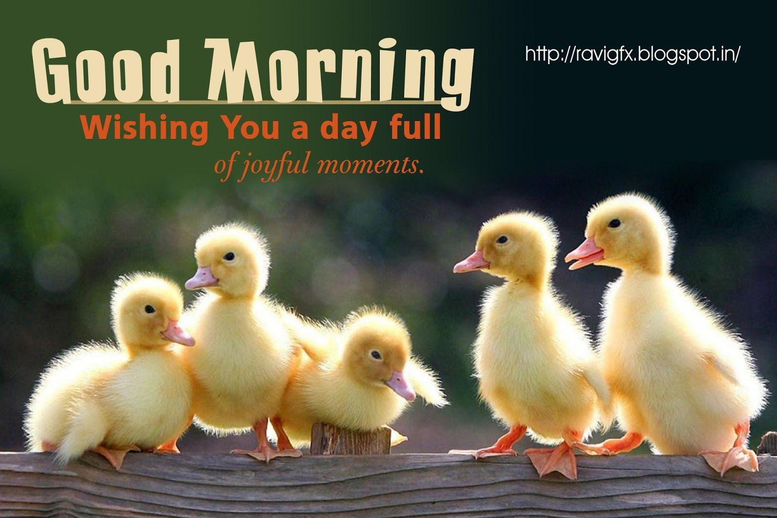 Good Morning Quotes Wishes Greetings Sayings Sms Messages Happy