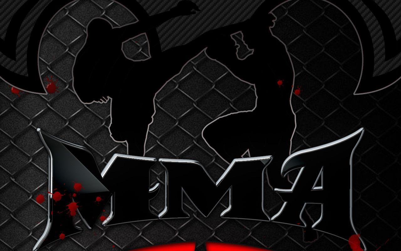 Mma, Fights Ring, Picture Of Mma, Mma Fights Background HD