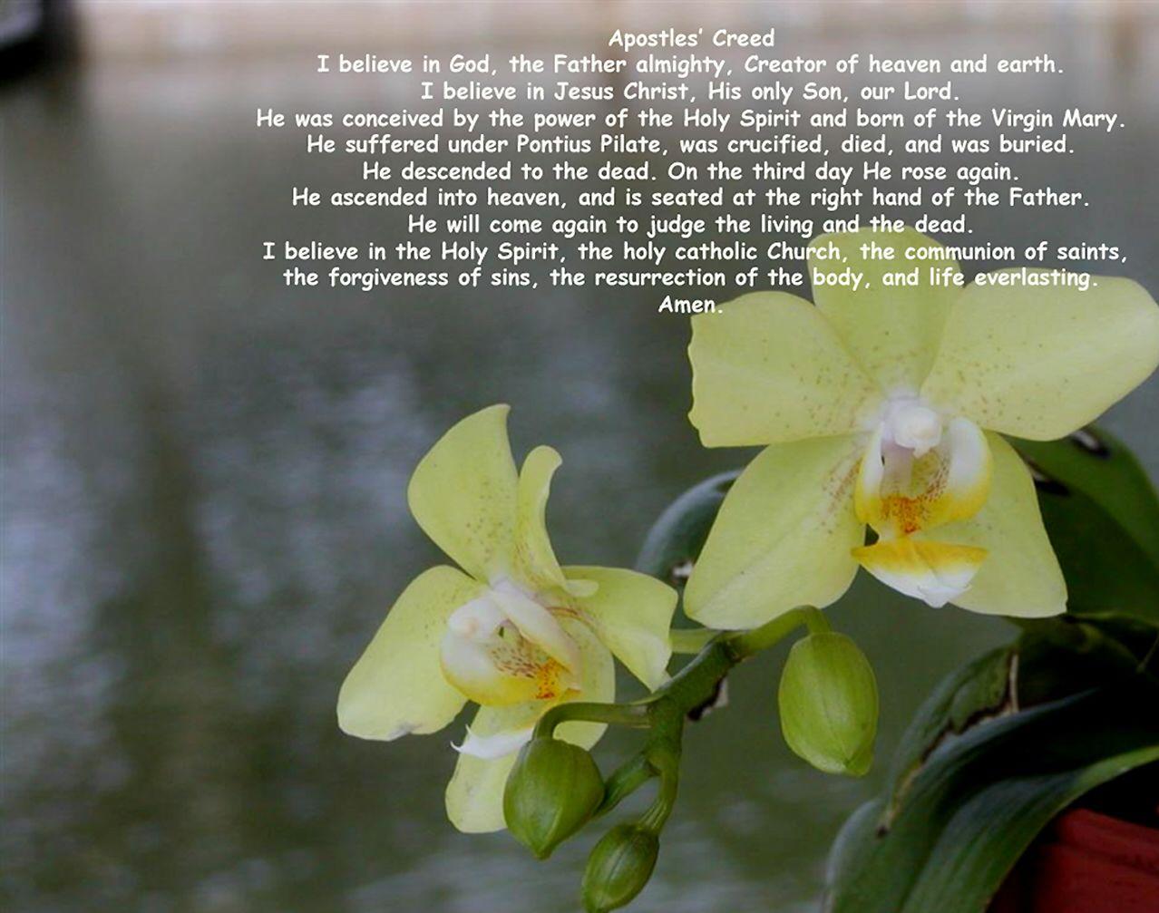Apostles Creed Wallpaper Wallpaper and Background