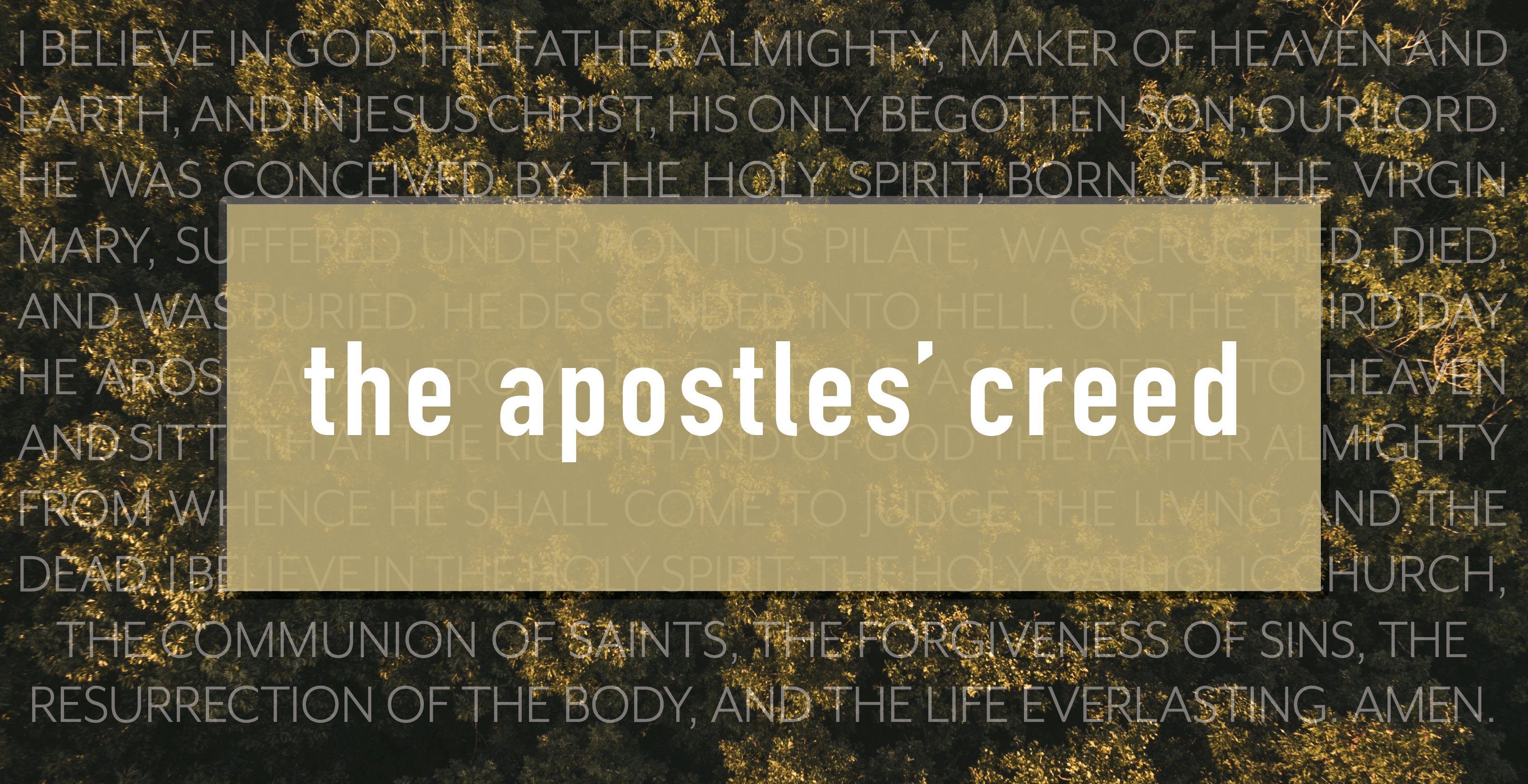 The Apostles' Creed I believe in God the Father Almighty, - ppt download