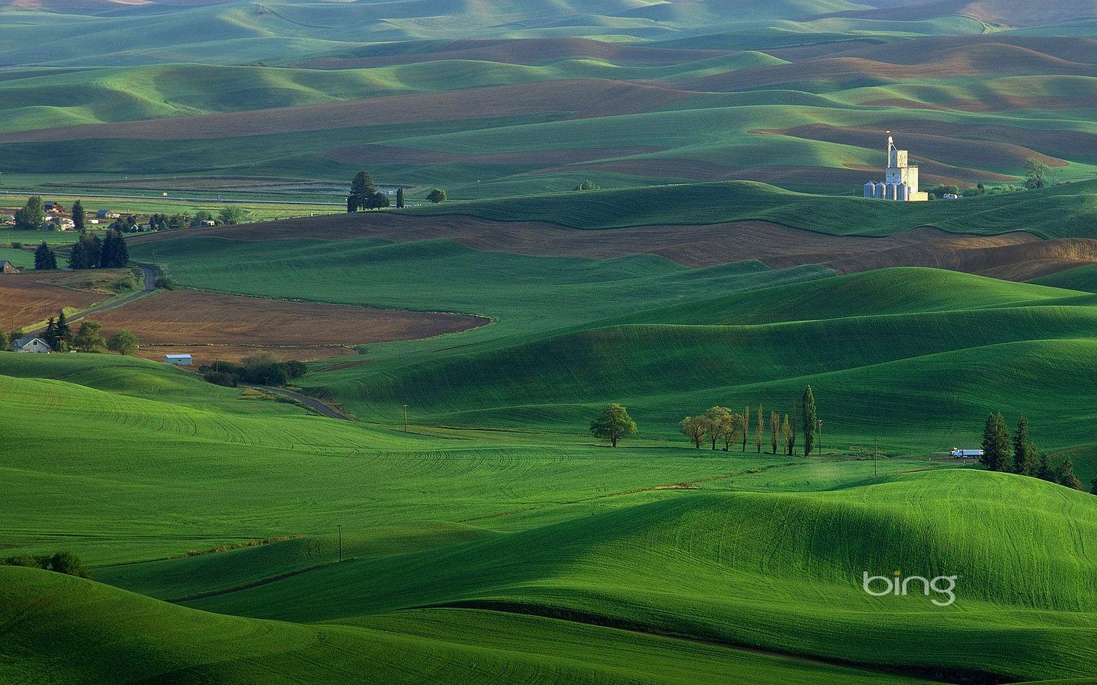 New Bing Wallpaper, Bing Wallpaper. W.Web Wallpaper