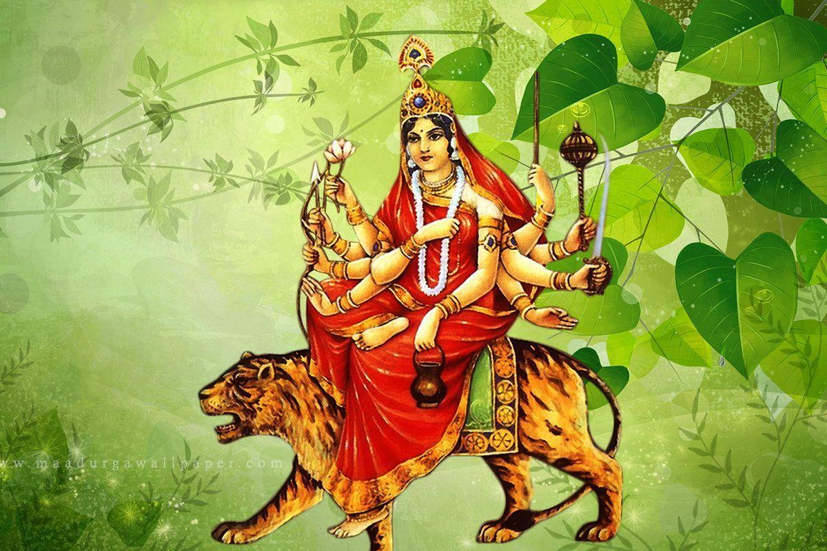 Durga maa Navratri