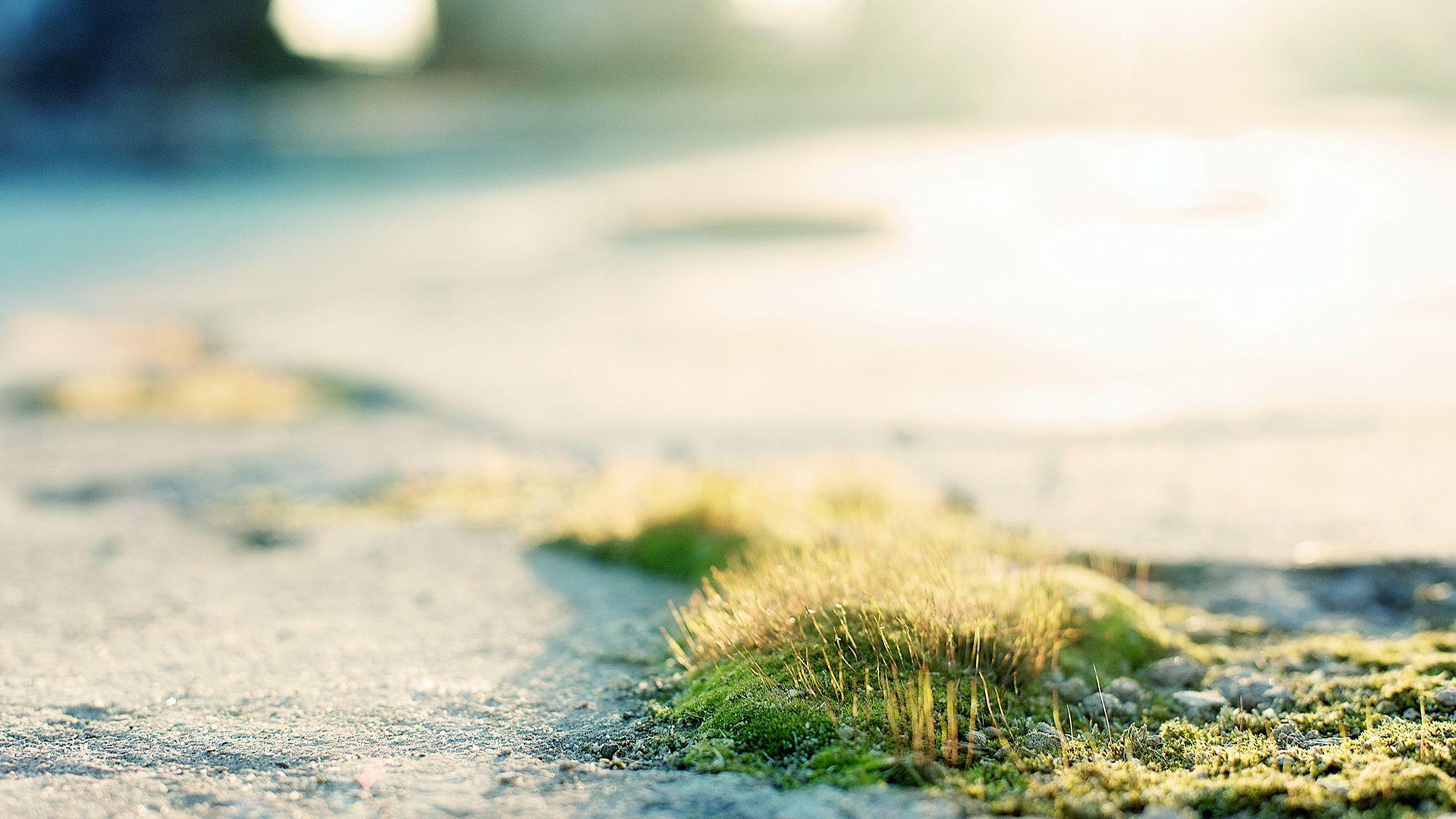 Sunny Day Wallpaper Free Download