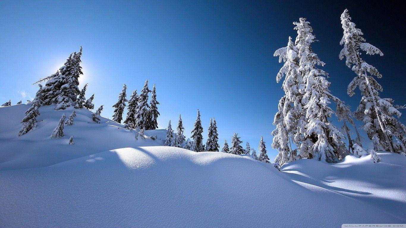 Winter: Scene Mountains Winter Nature Scenery Forest Snow Sky Hills