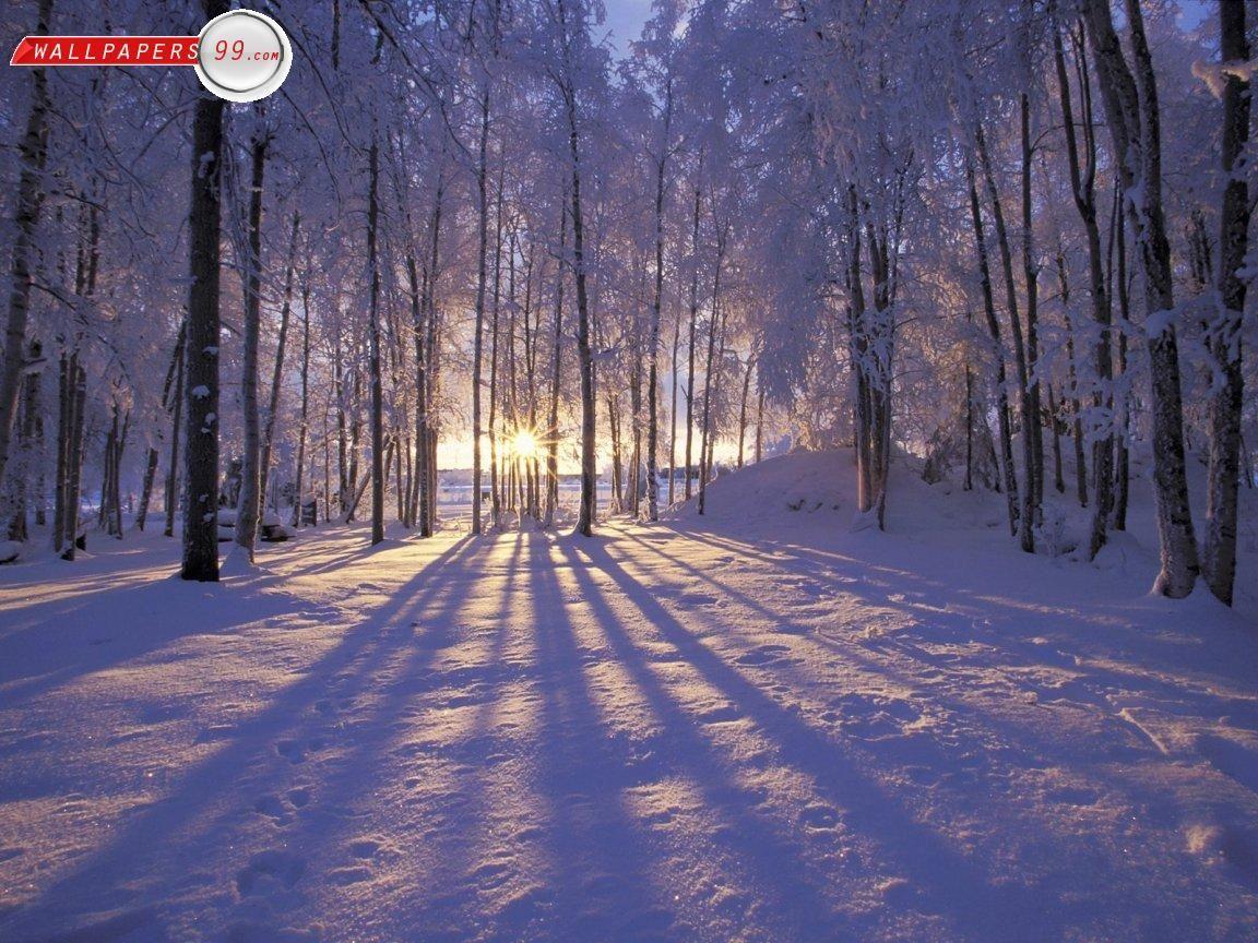 Winter Scenes Wallpaper. Beautiful winter scenes, Sunset nature, Winter sunrise