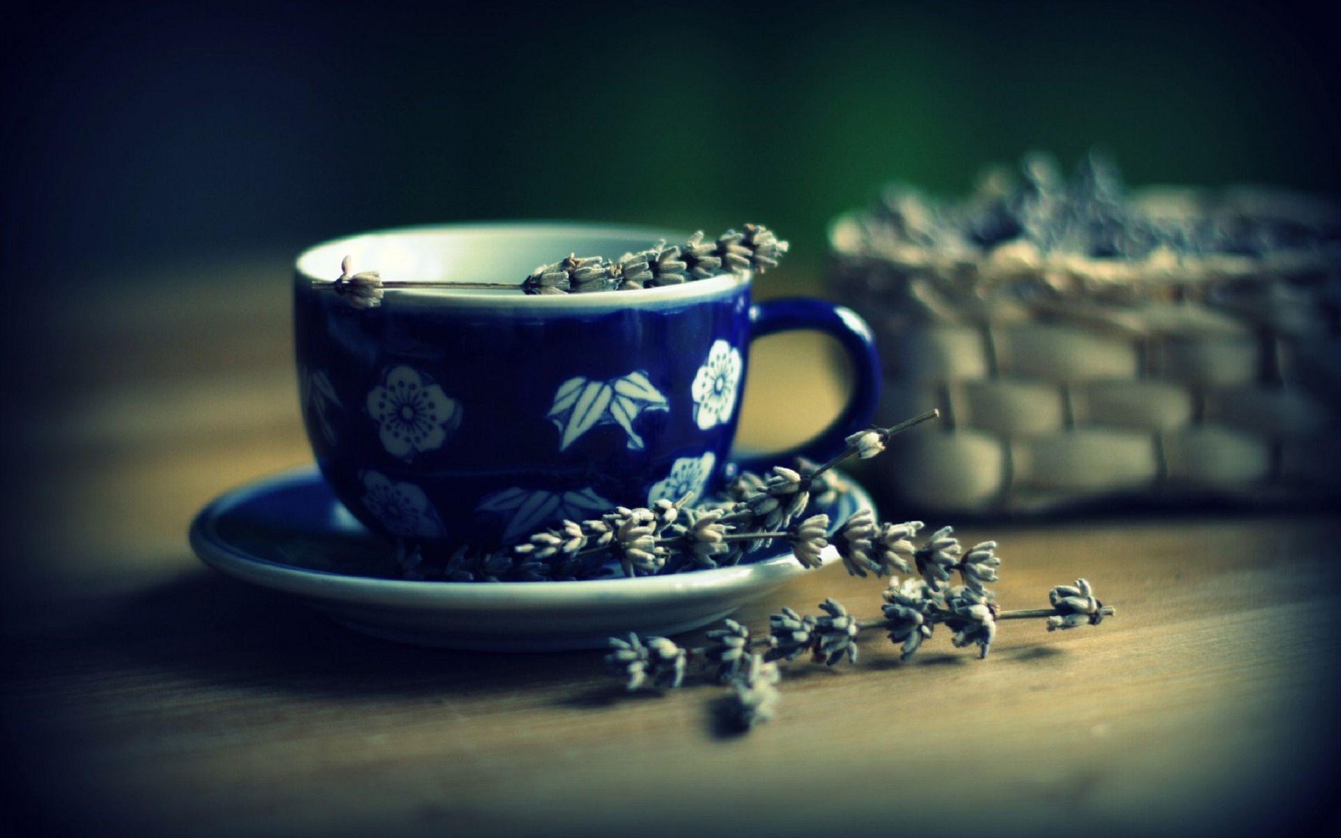 Best New Wallpapers Wallpaper Cave