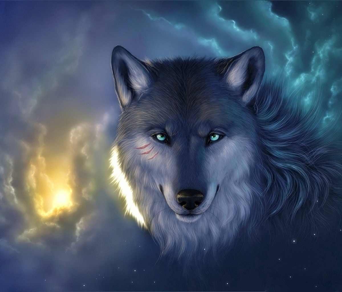 THE WOLF WALLPAPER