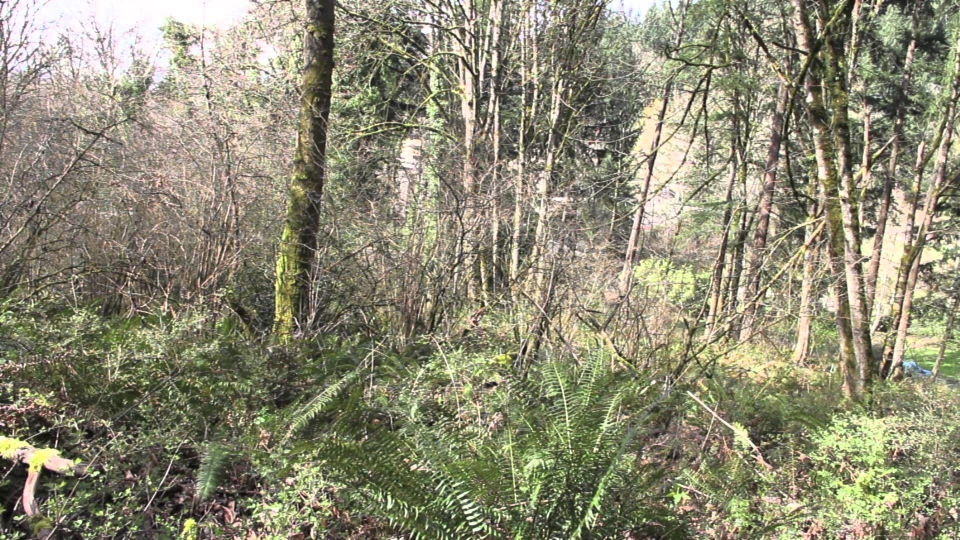 Ghillie Suit Wallpaper