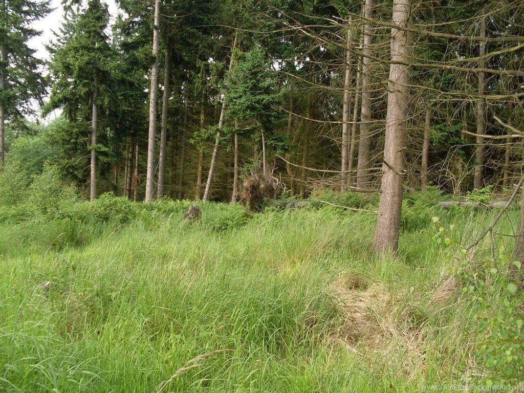 Ghillie Suit Wallpaper Desktop Background