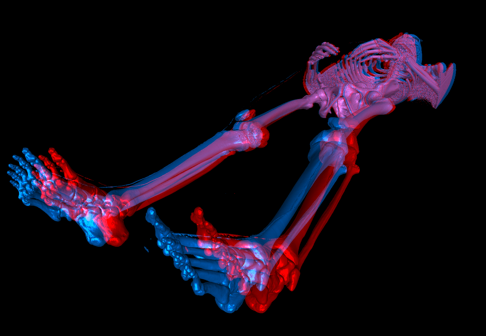 3д тудей. 3д иллюстрации. 3д ФРАГМЕНТЫ. 3 Д изображения товара. Трахея 3d image.