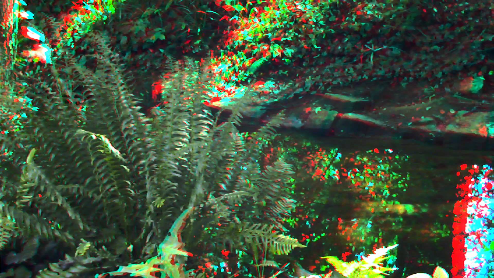 3D Video For Red Blue Glasses: Anaglyph