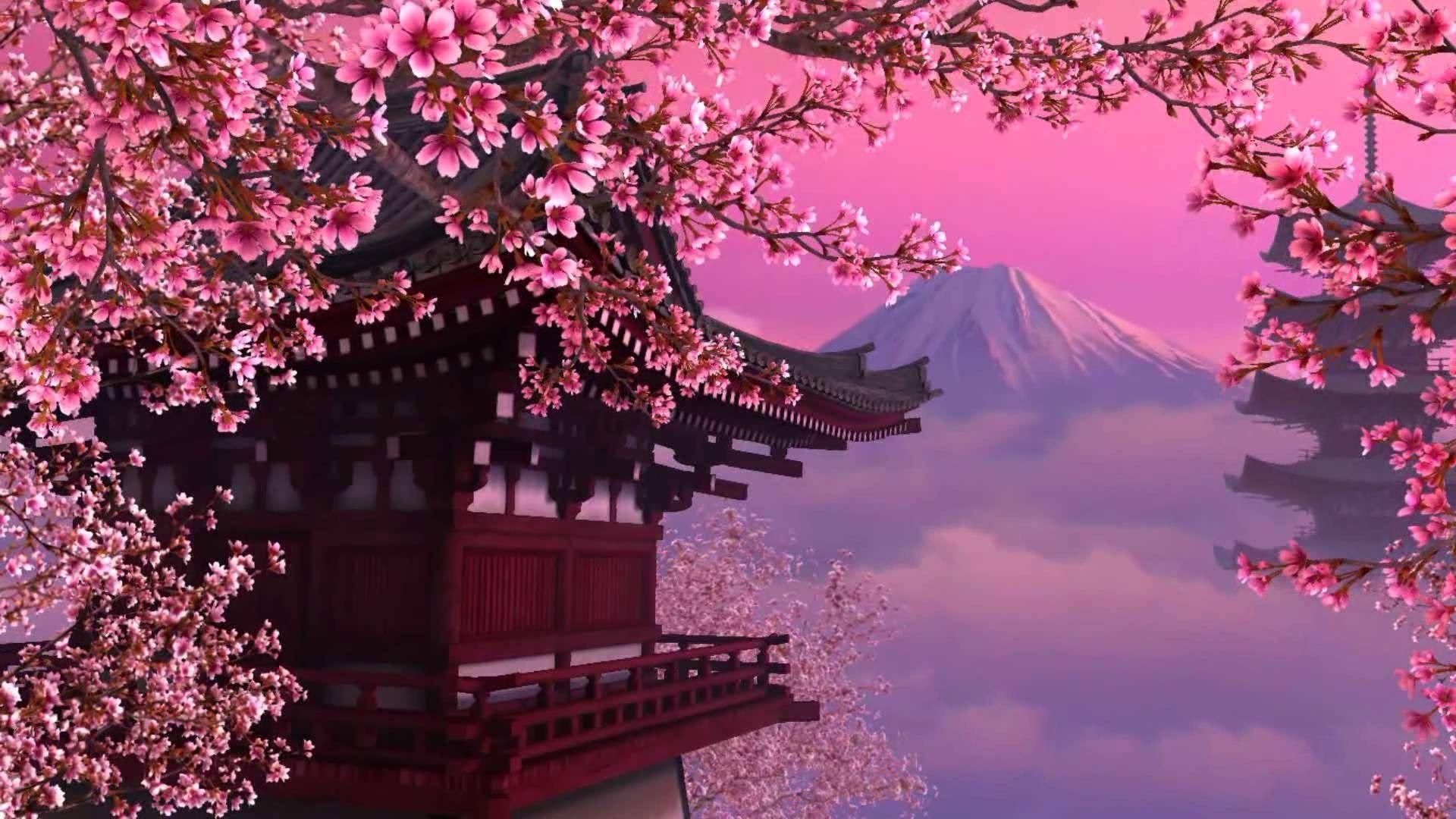 cherry blossom theme background image. ololoshenka